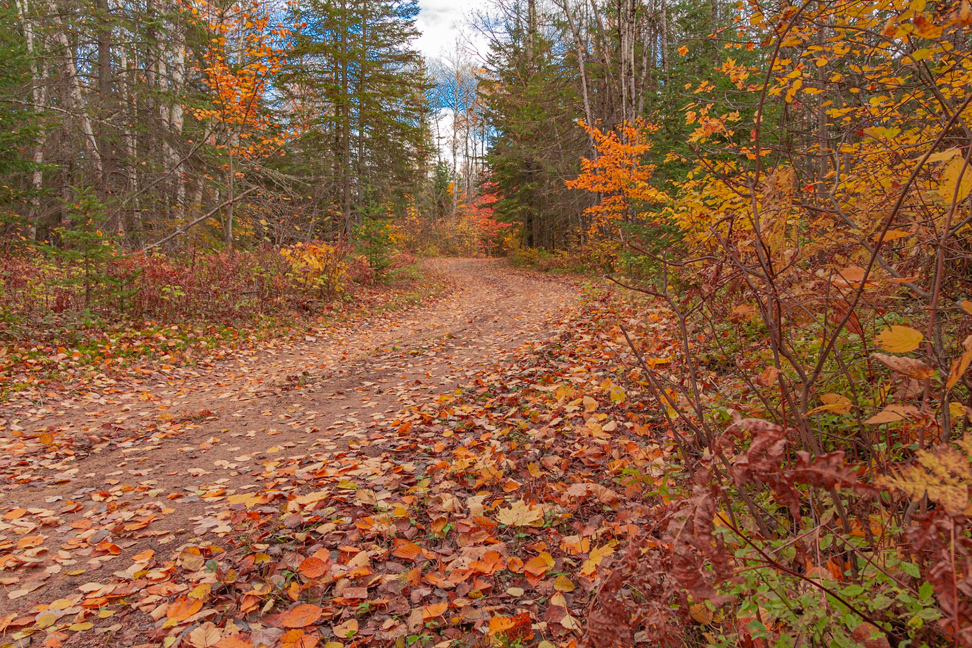 Chemin des Sous-Bois