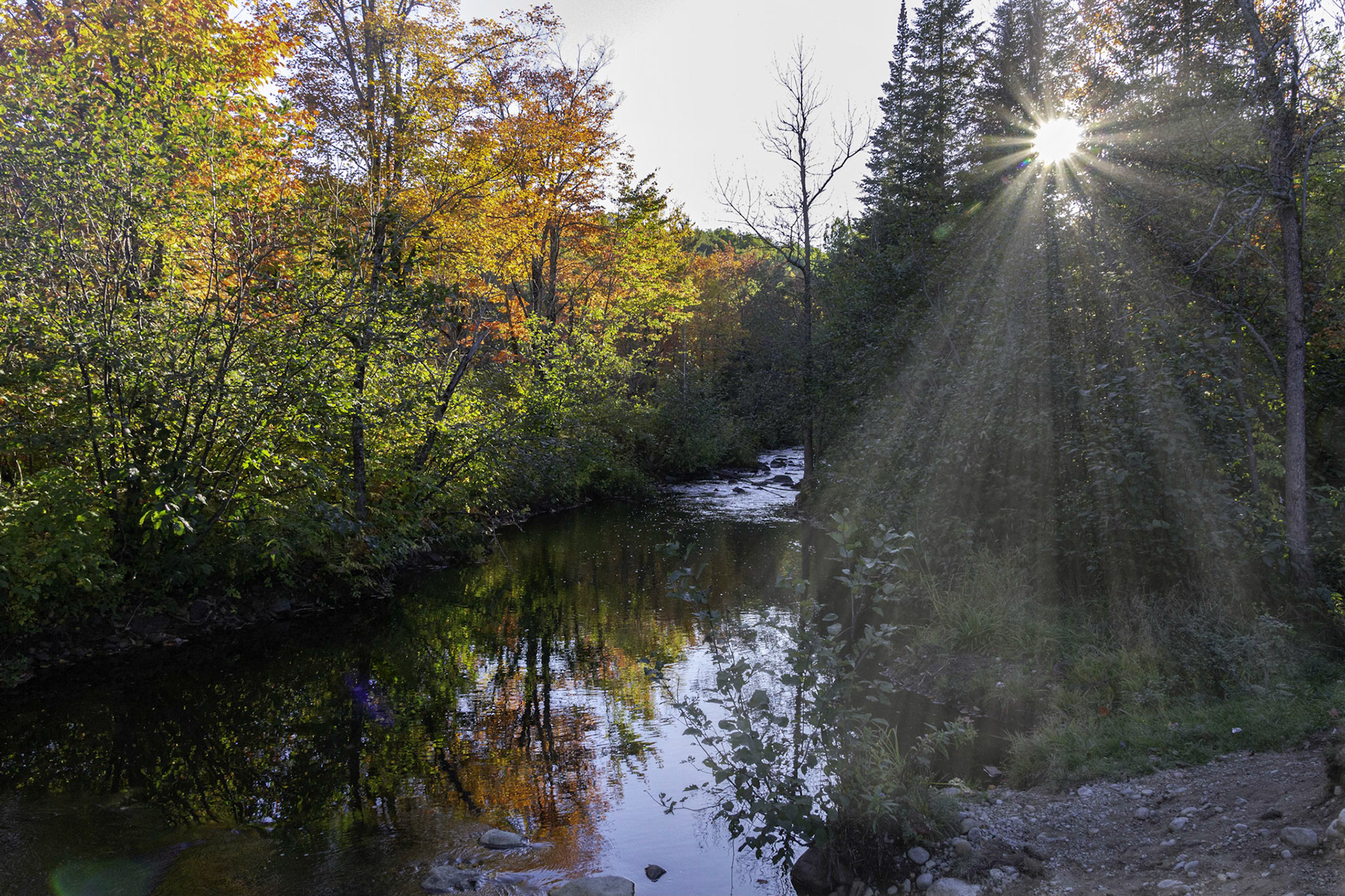 Rivière Noire