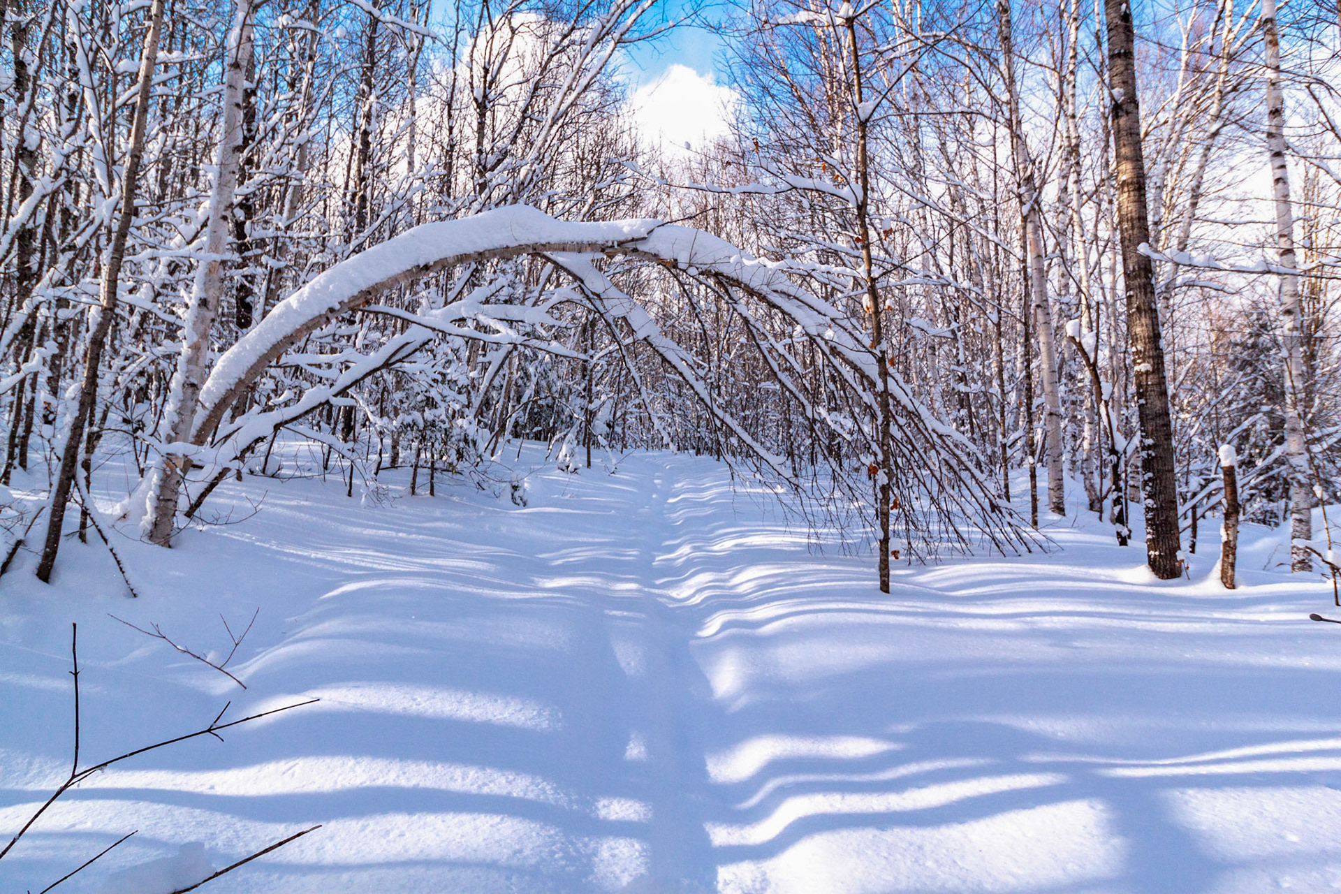 Parc Régional du Lac Taureau