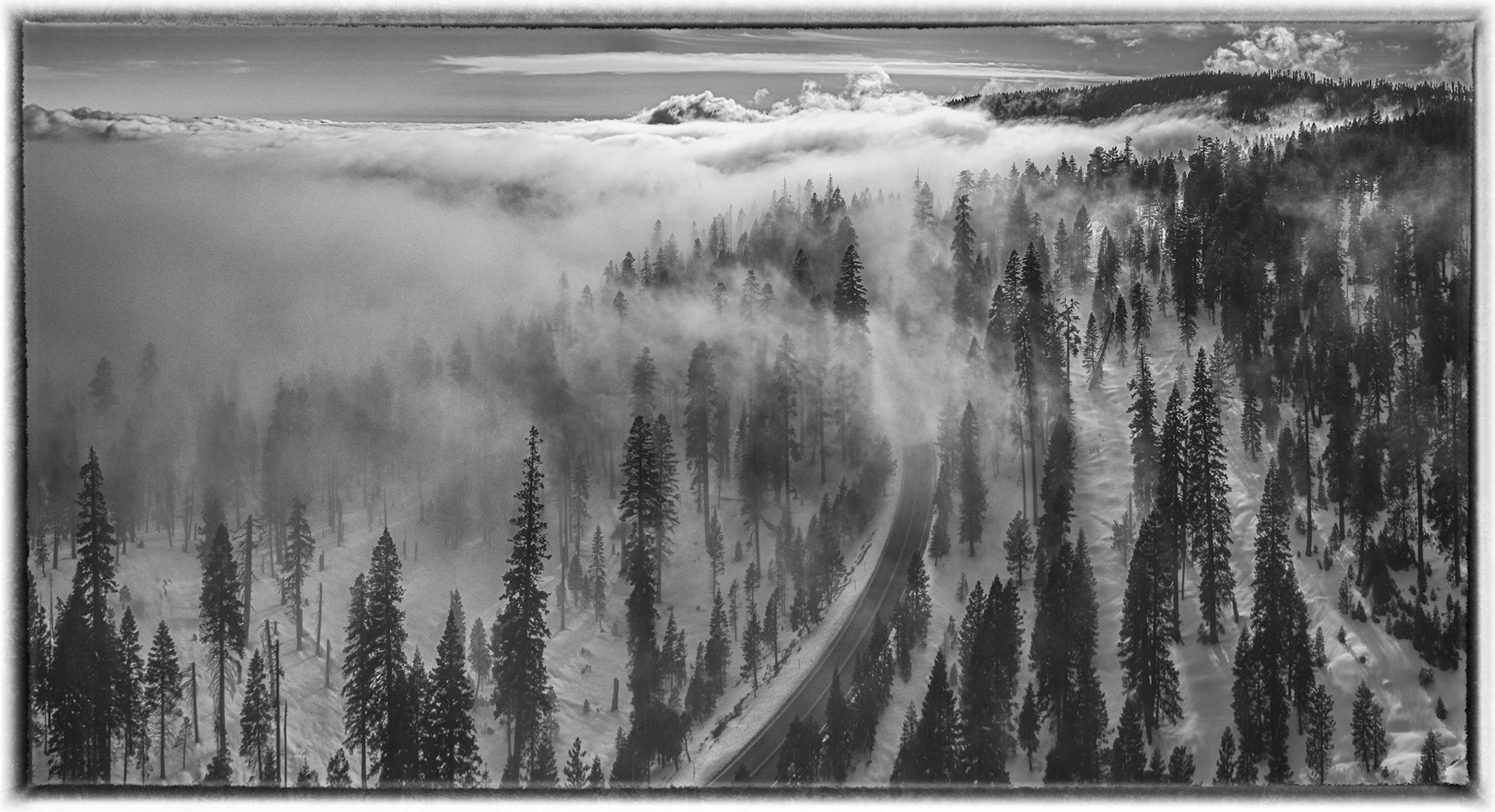 Sierra's fog