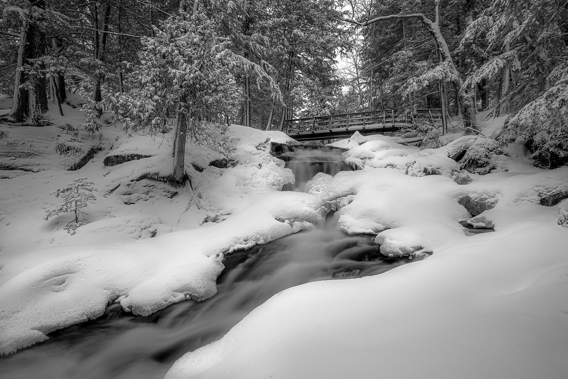 Bracebridge ON