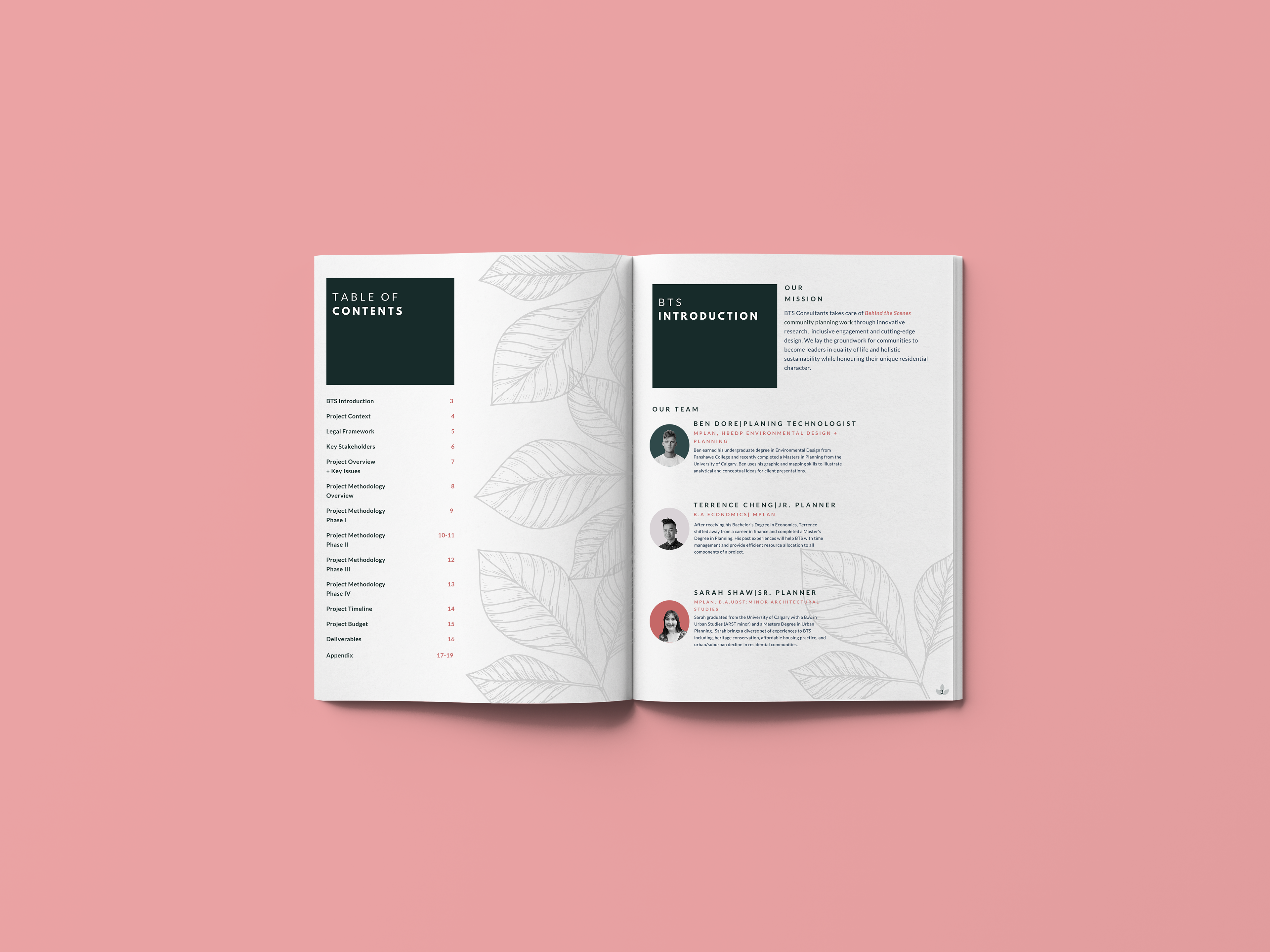 Introduction + Consultancy Introduction