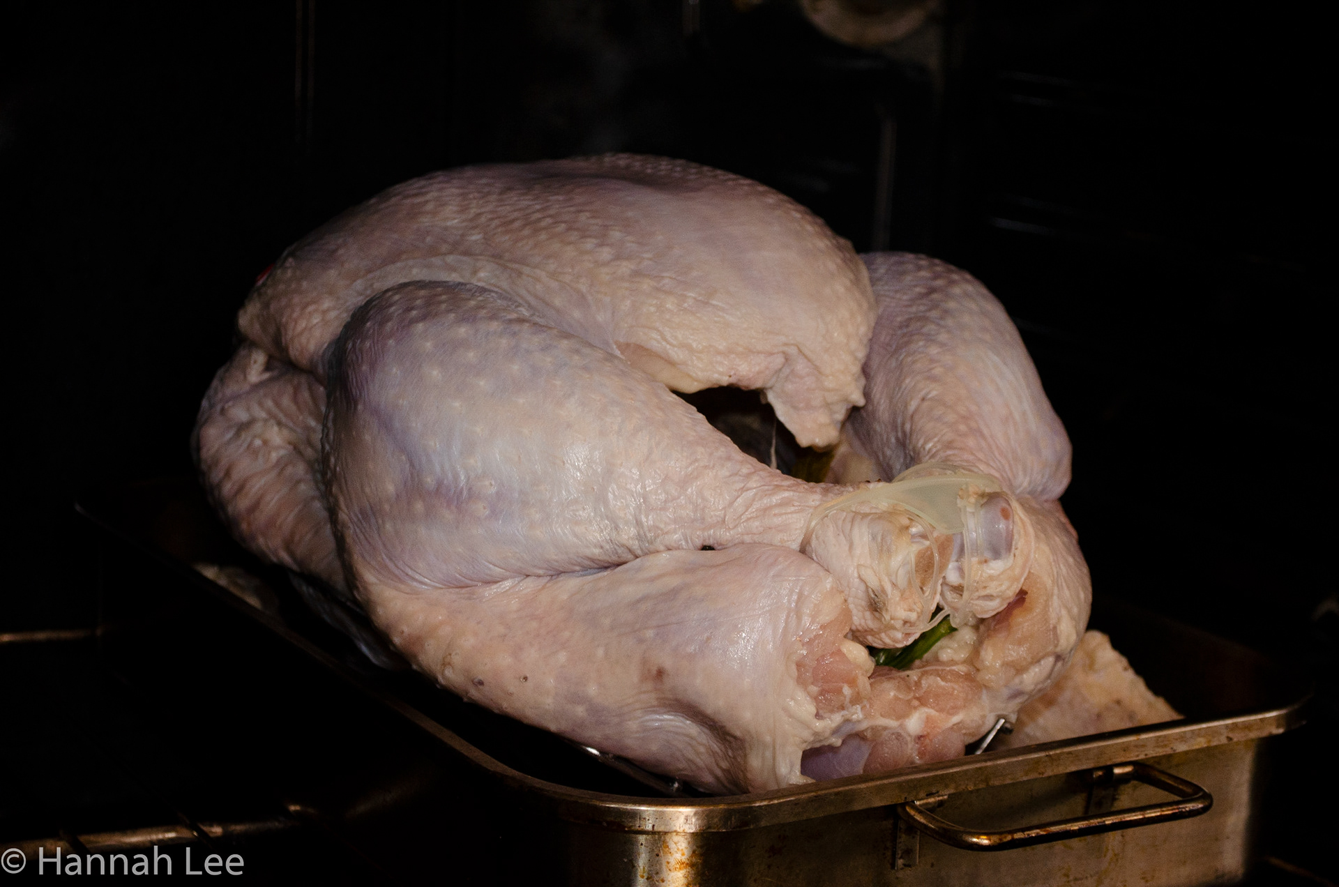Turkey stuffed with brine carrots, celery, and onion put into the oven. Taken by Hannah Lee on Thanksgiving Day November 26, 2020 in Somerville, MA. 1/60 second f 5.3 45mm iso 1250
