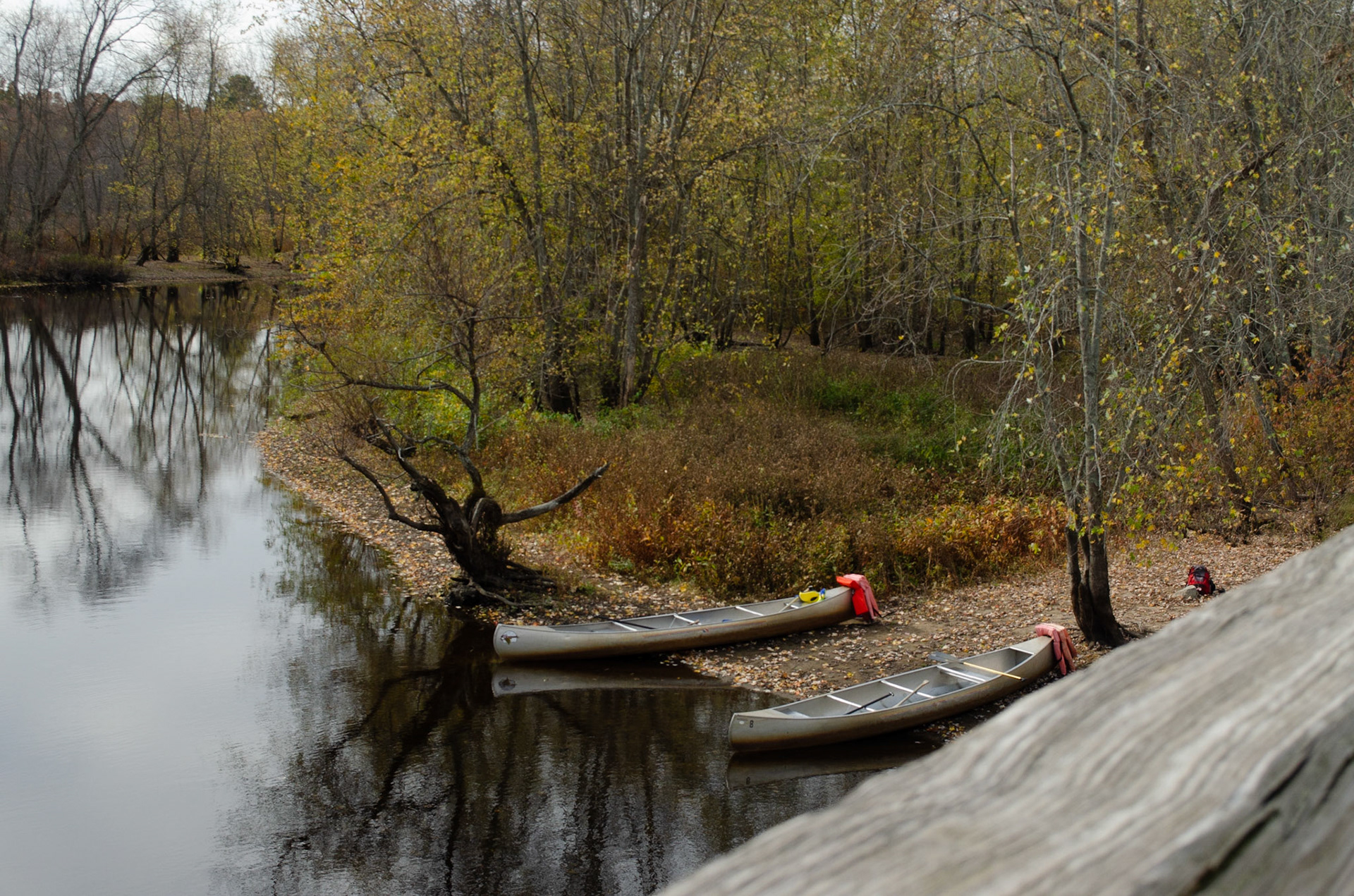 2. 2 Canoes parked on Concord River bank on Sunday, October 25, 2020. Photo by Hannah Lee. 1/250 f8 iso 400