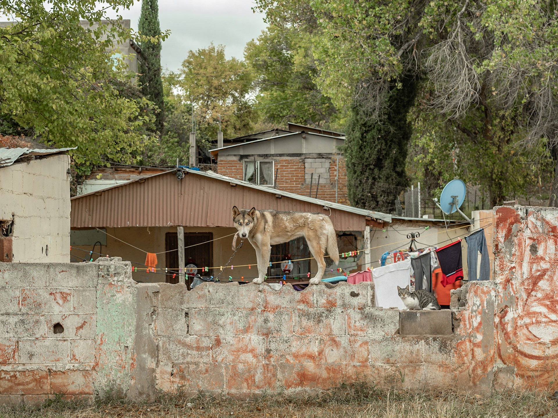 Nogales, SN