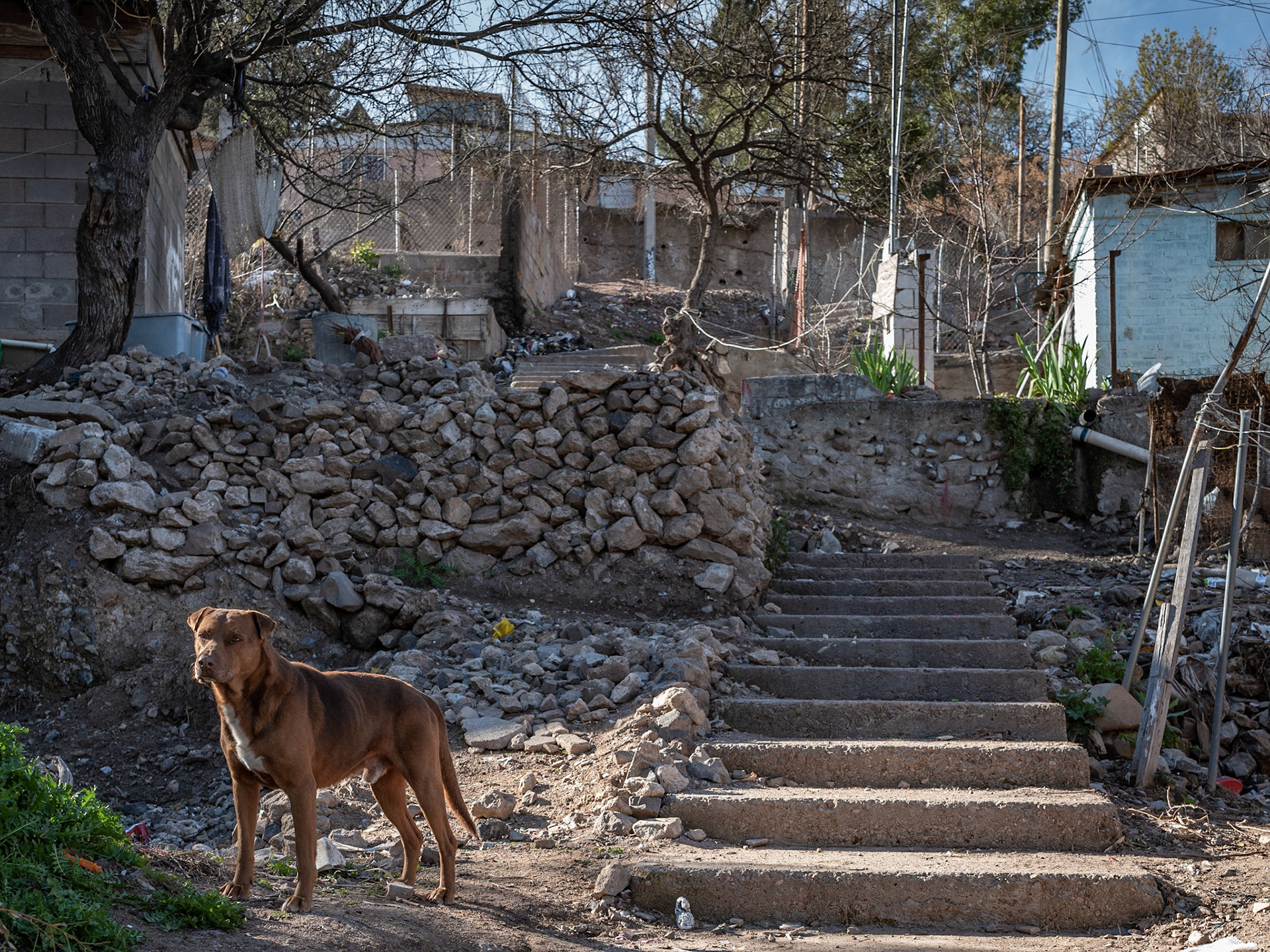 Nogales, SN