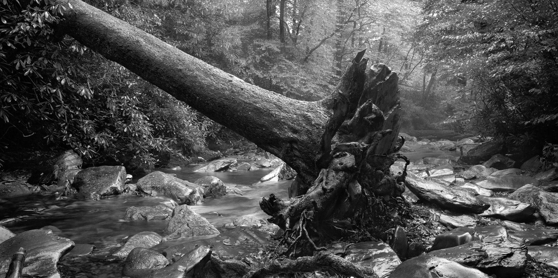 Great Smoky Mountains National Park, TN