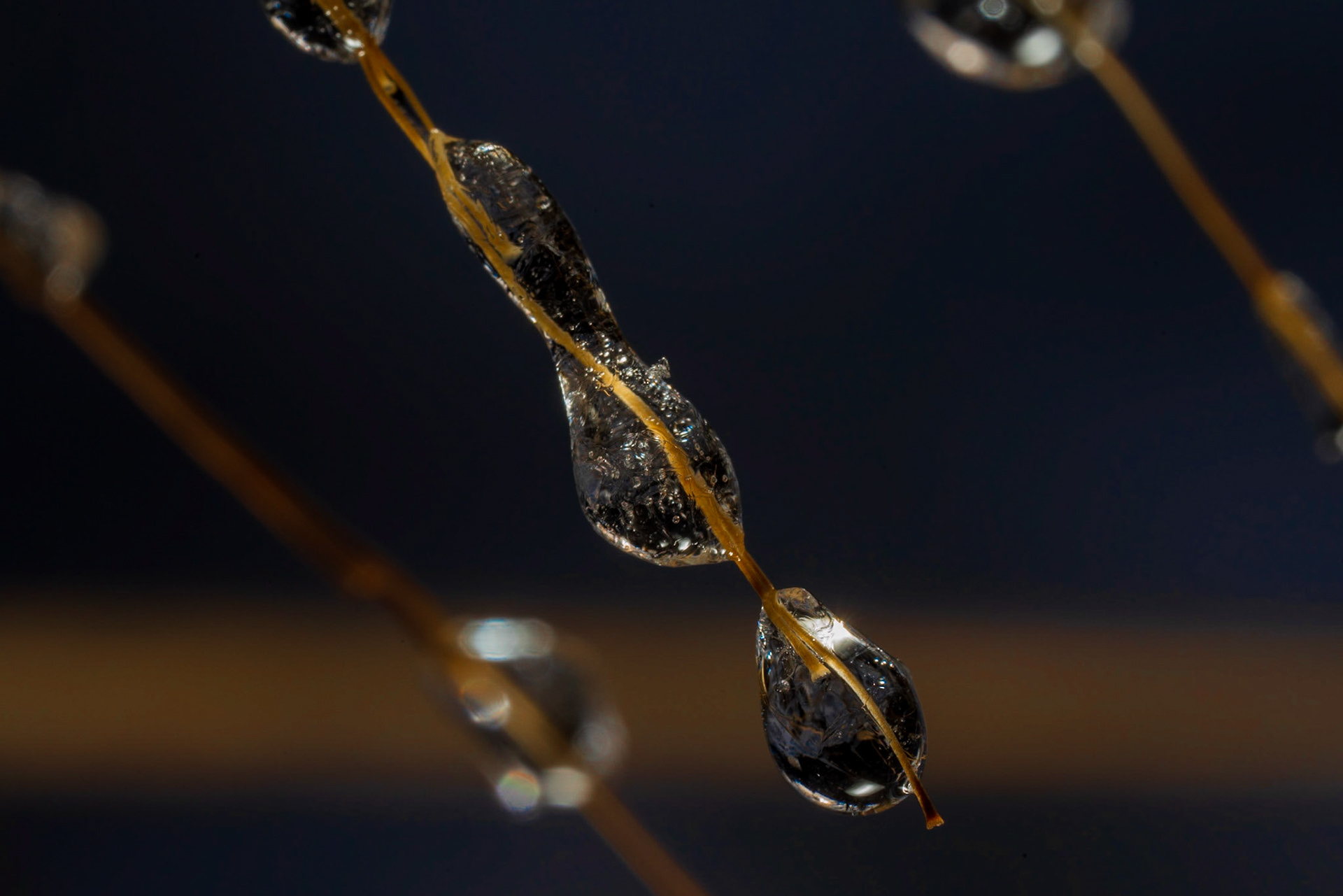 Frozen waterdrops