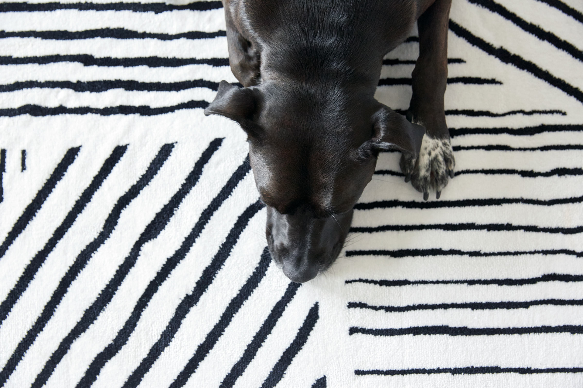 Esprit, interior, people, photography, styling, www.berndopitz.com, © Bernd Opitz