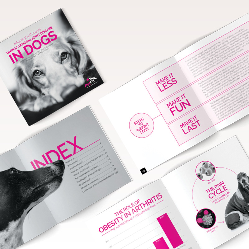 PetFit Understanding Joint Disease in Dogs Booklet