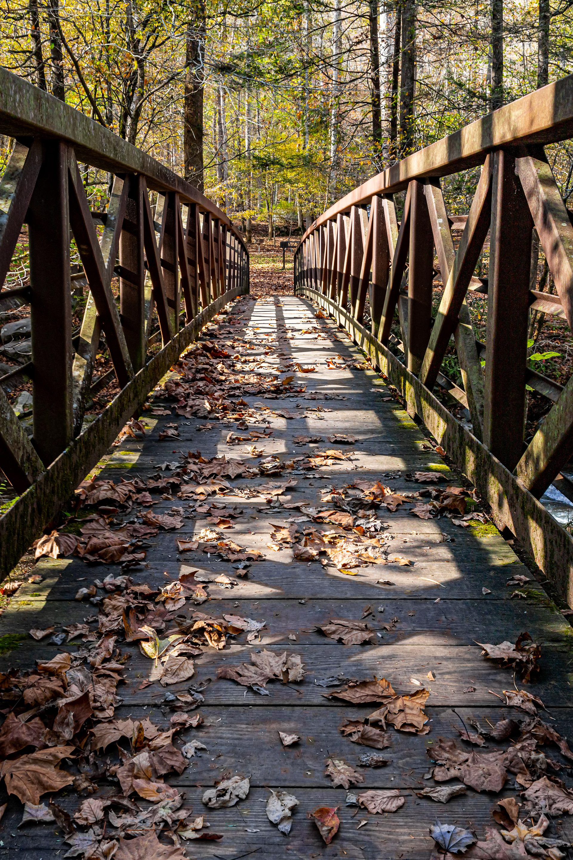 Smoky Mountain National Park - North Carolina, USA