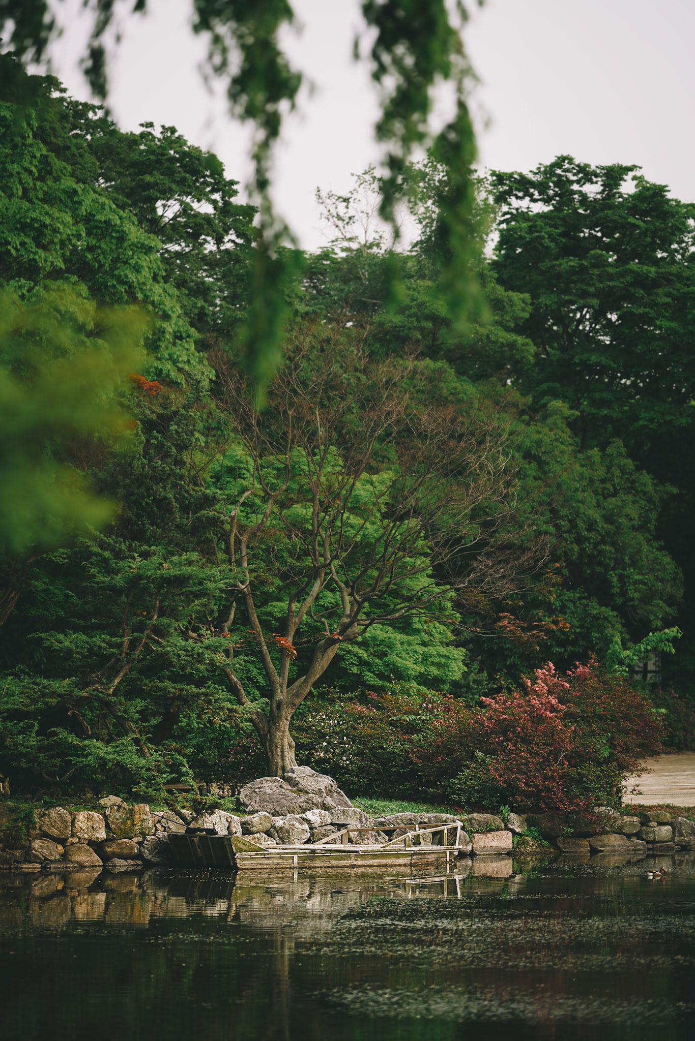 Seoul, South Korea - 17 May 2020: The Palace grounds of Changgyeonggung are full of beautiful old growth trees and oriental ponds, as well as an enclosed greenhouse.