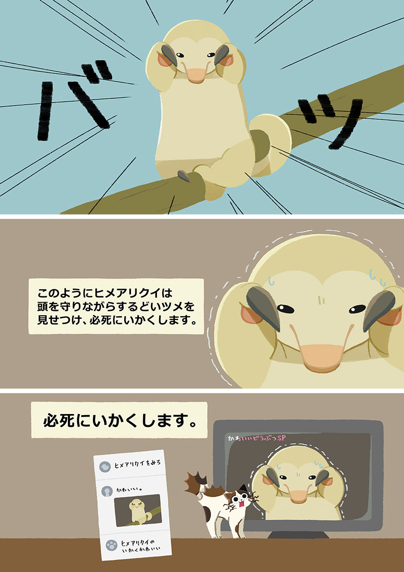 Myutaro S Portfolio おかゆ帝国 Okayu Teikoku