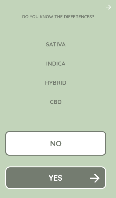 Newbie Users