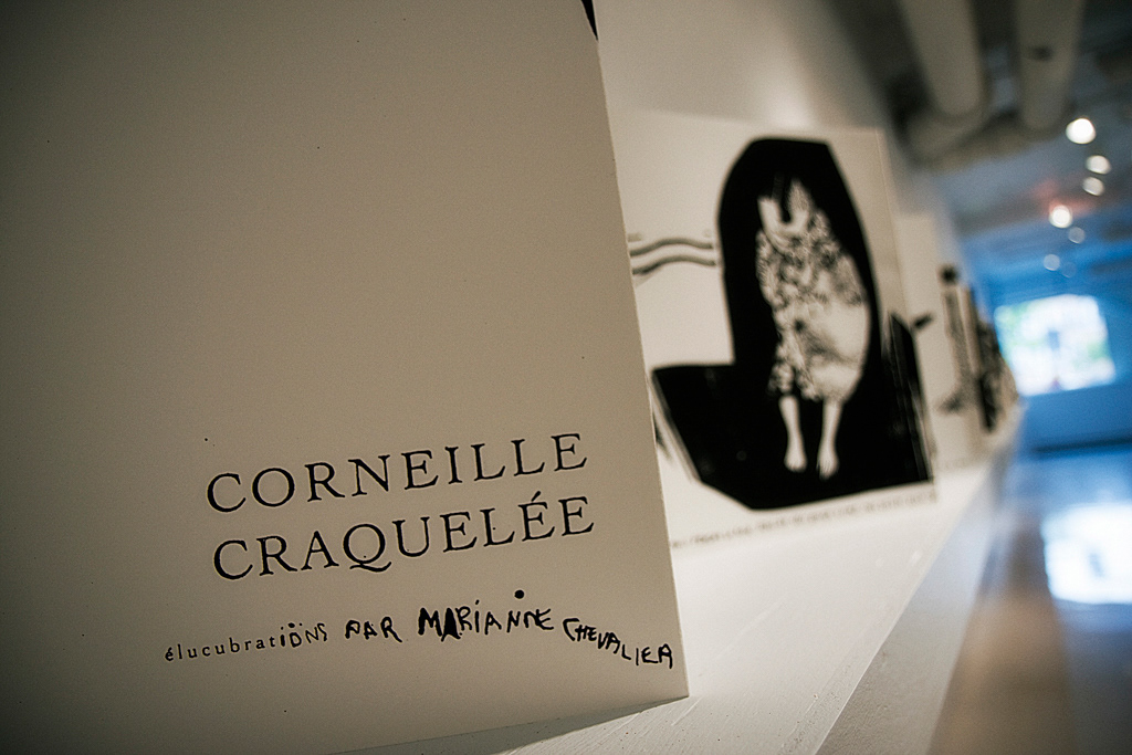 Vue de l'exposition CORNEILLE CRAQUELÉE, Galerie des arts visuels de l'Université Laval, Québec, 2008 © Photo : Dimitri Lavoie