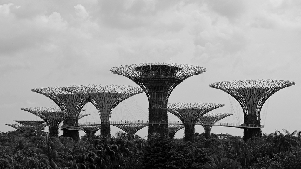 Super Trees