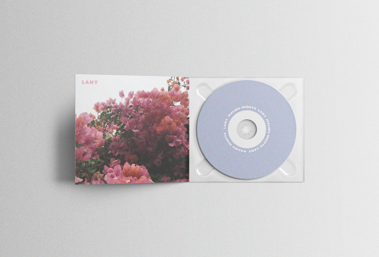 Princeton senior thesis image