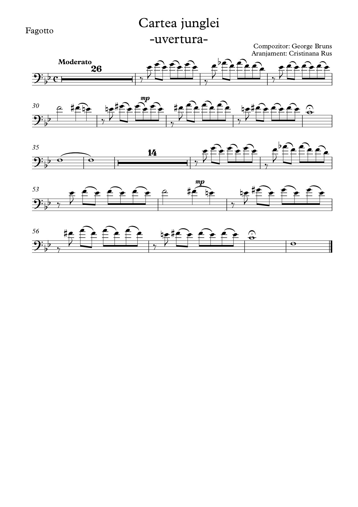 Bassoon