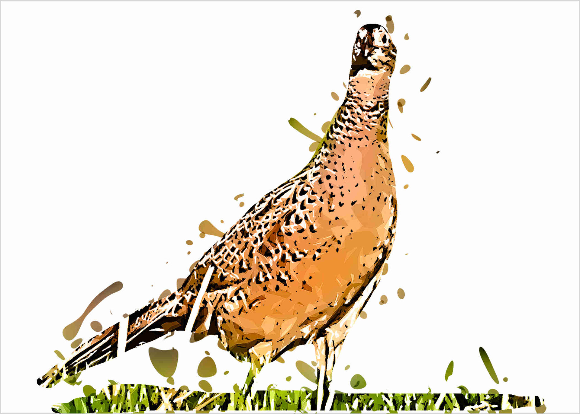 Pheasant 967000420