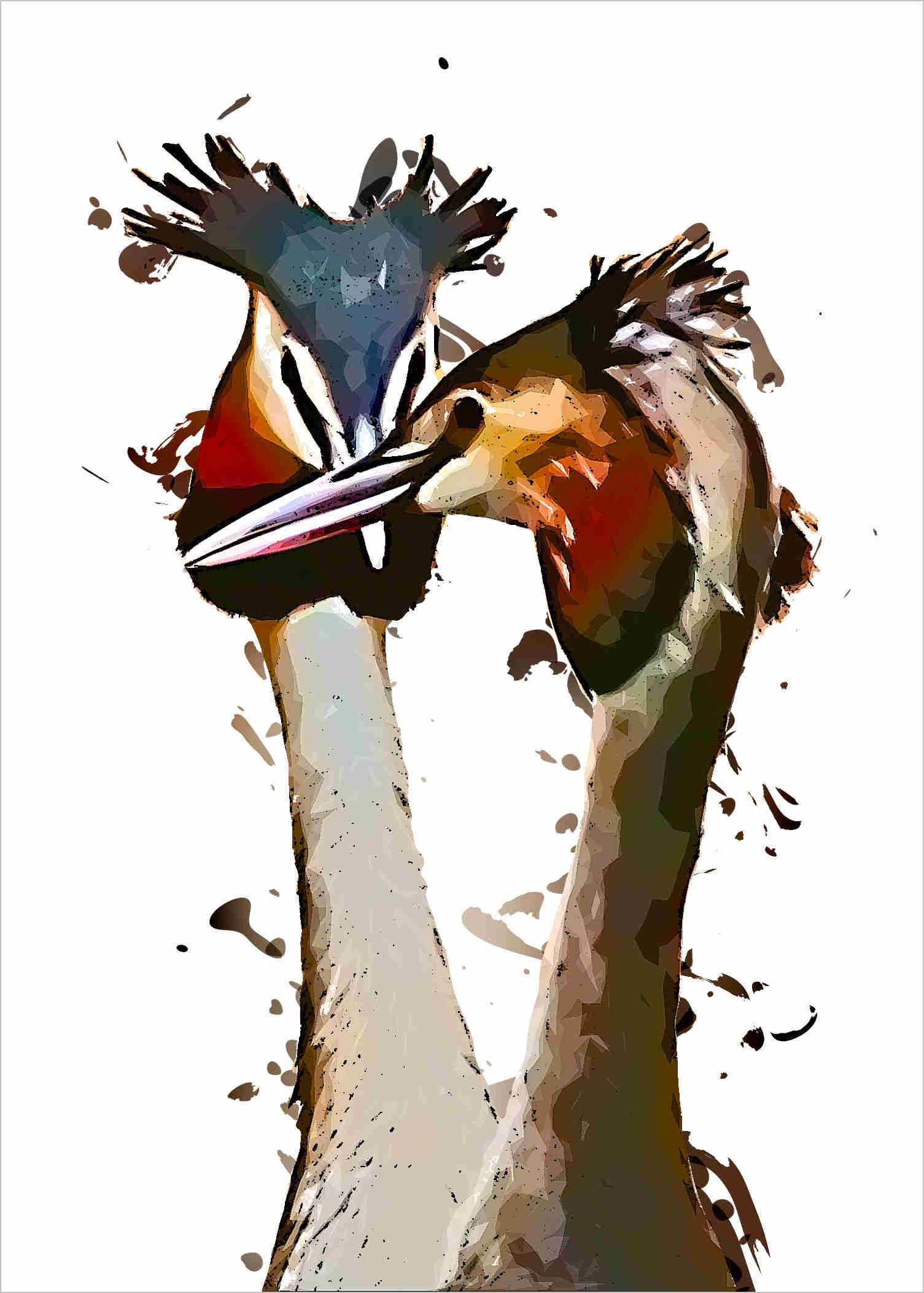 Great Crested Grebe 868700320