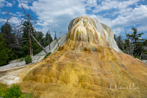 Nature by Nat Photography - Yellowstone National Park