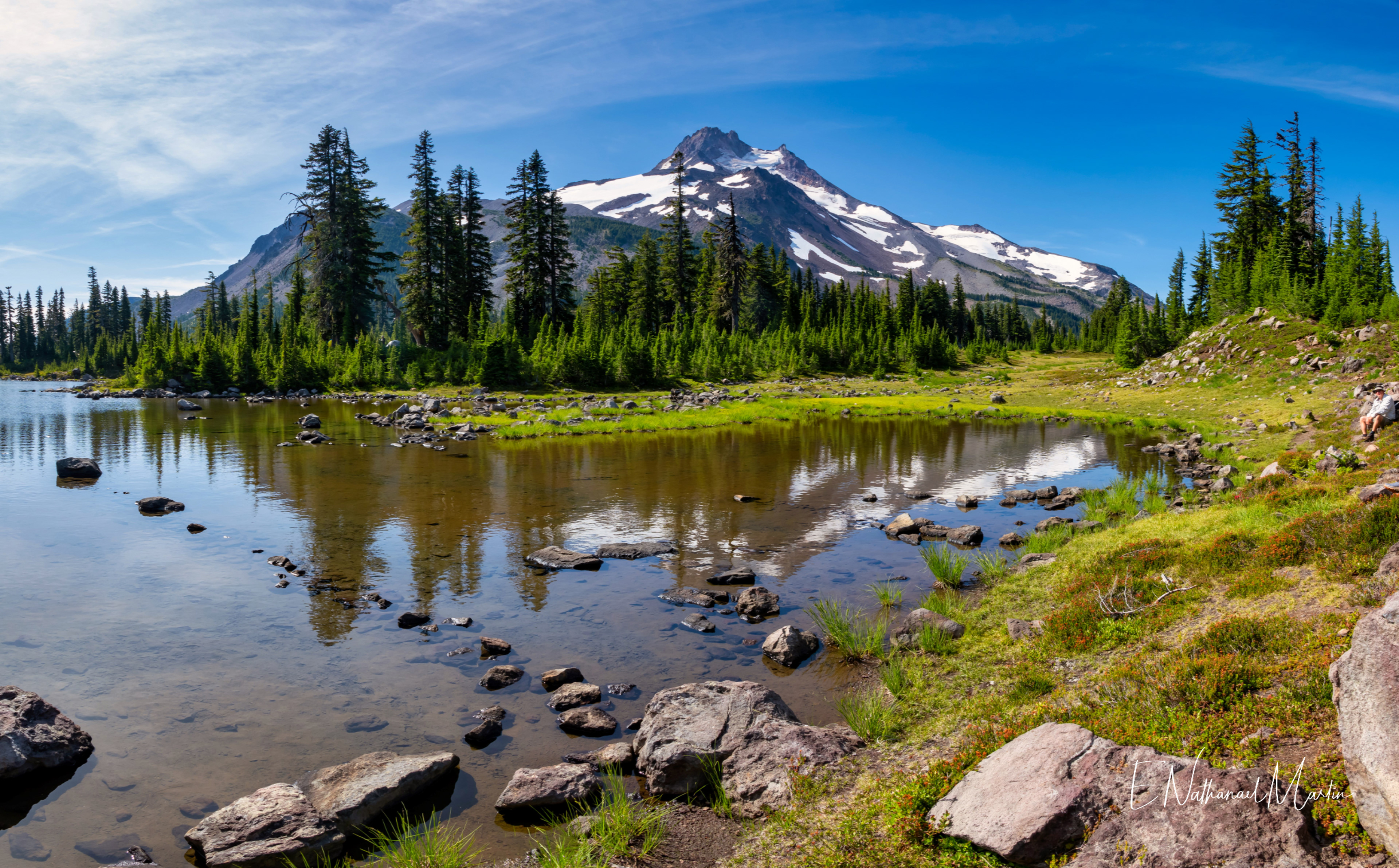 Nature by Nat Photography - Jefferson Park