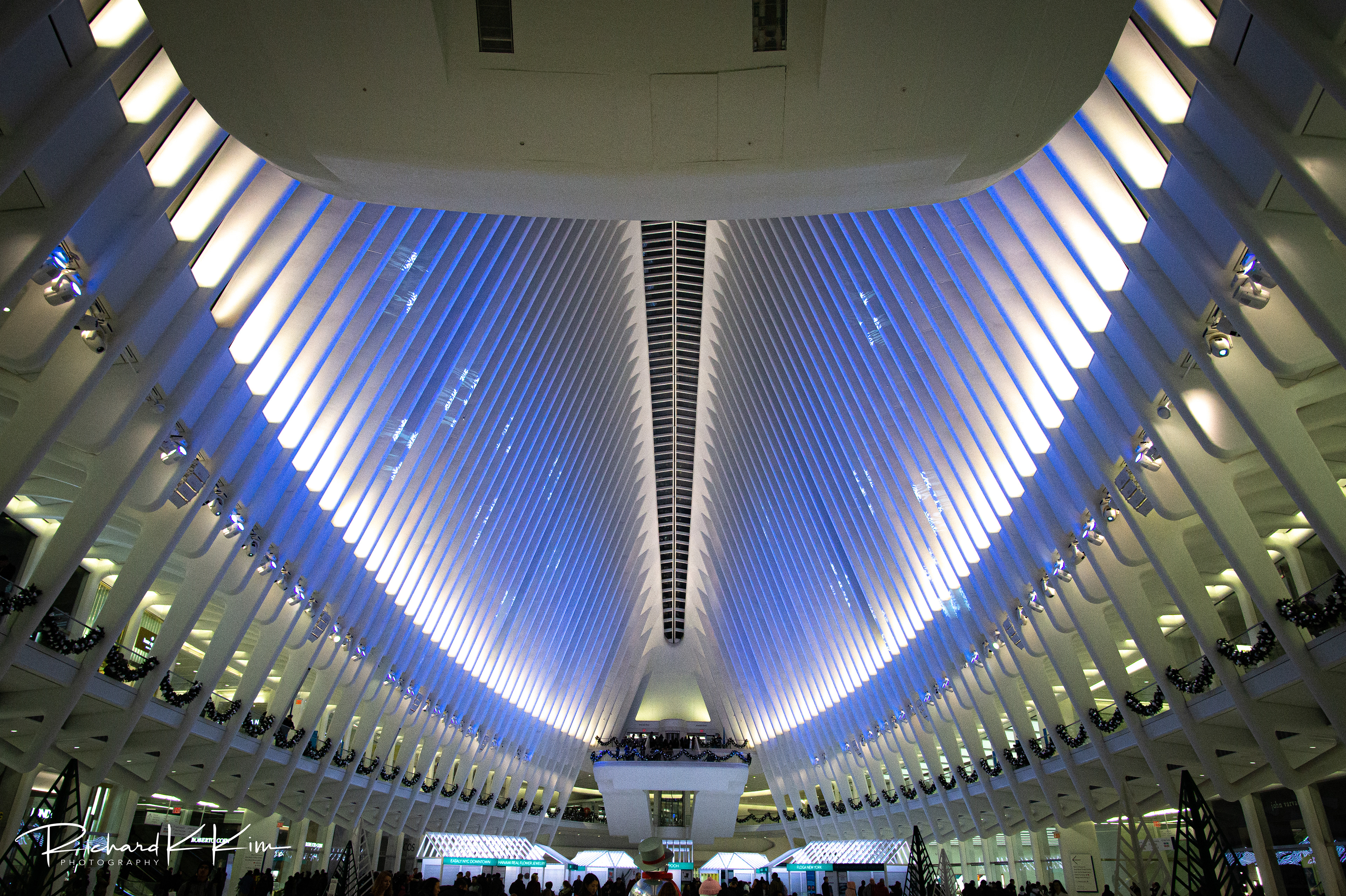 The Oculus (New York, NY)