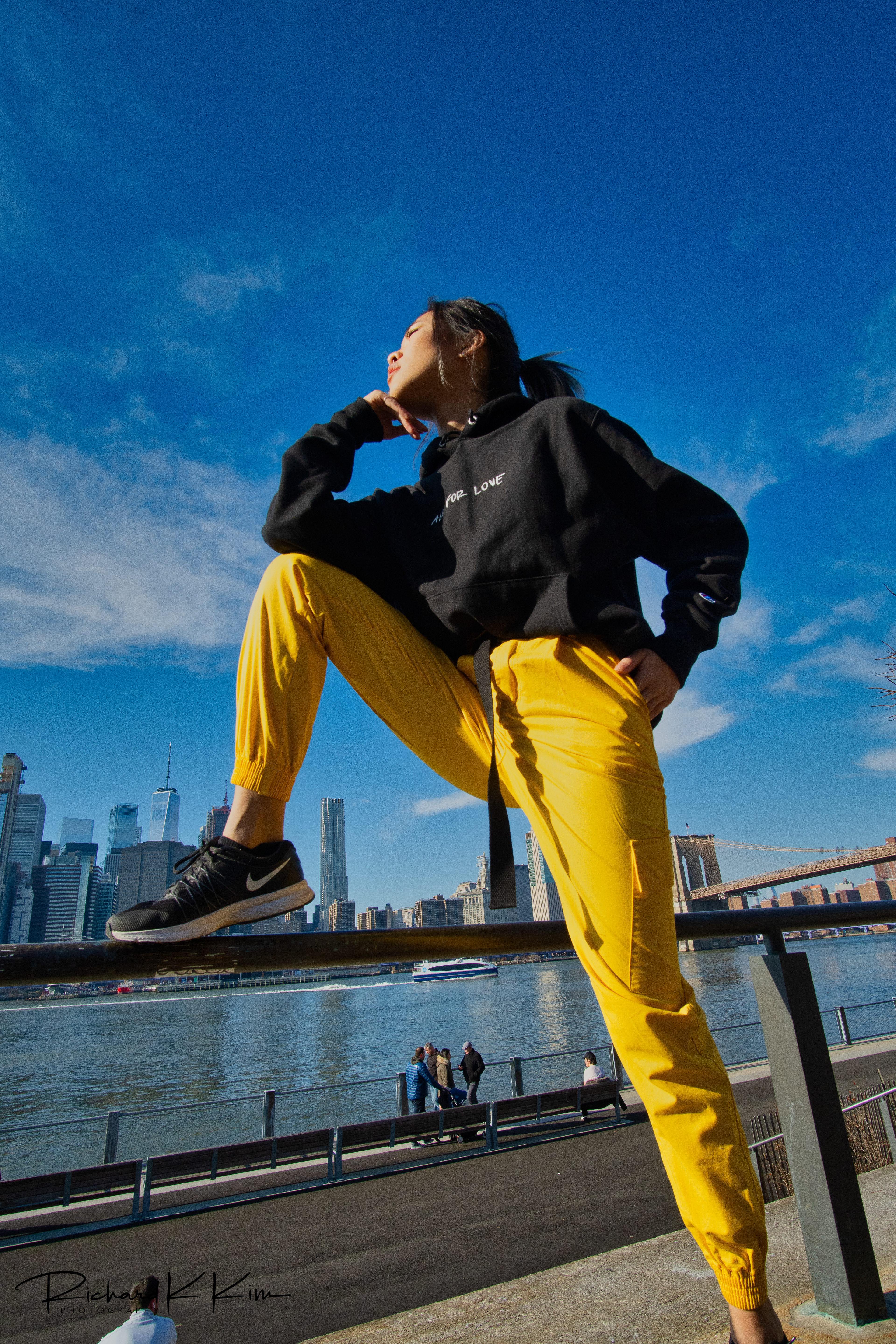 Anne Lin  (Brooklyn, NY)