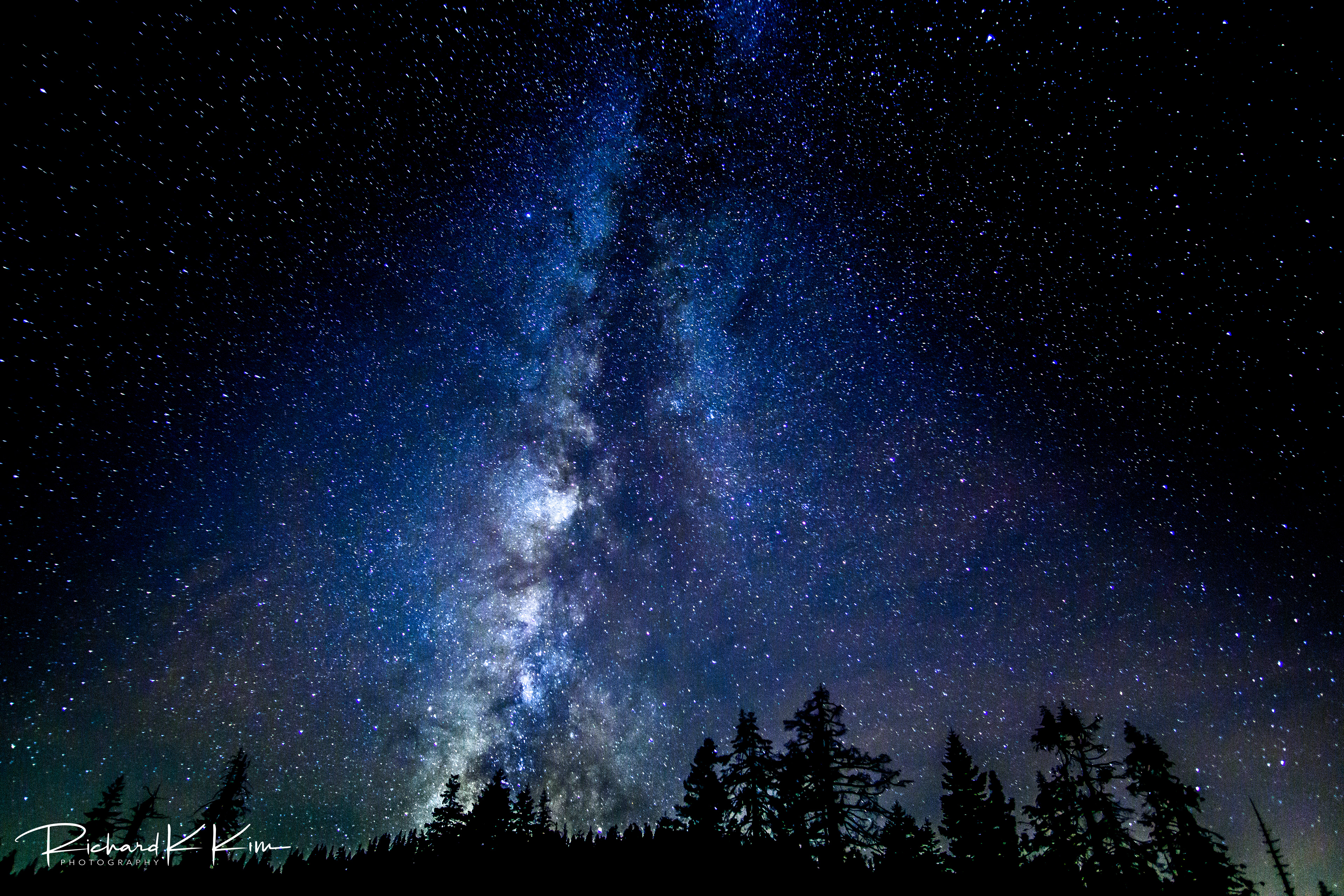 Yosemite National Park, CA