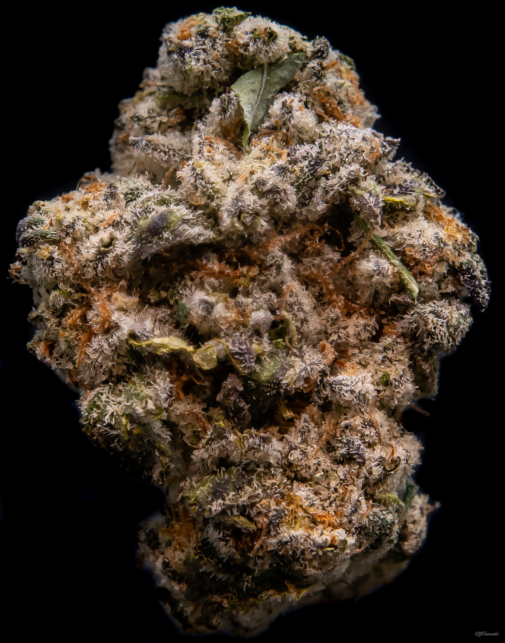 Pink Animal Mints (Boulder Built)