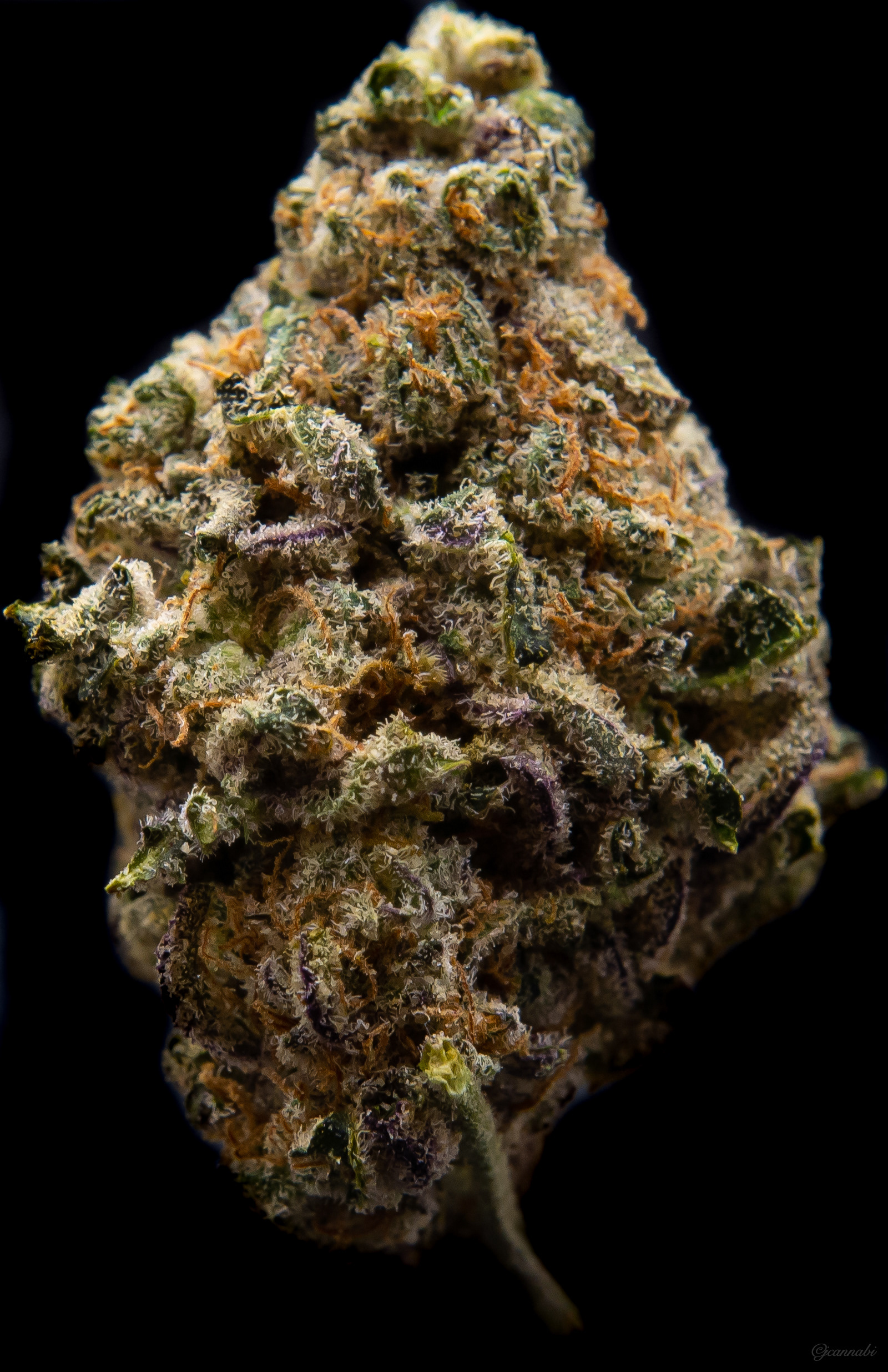 London Pound Cake (Palmer Lake)