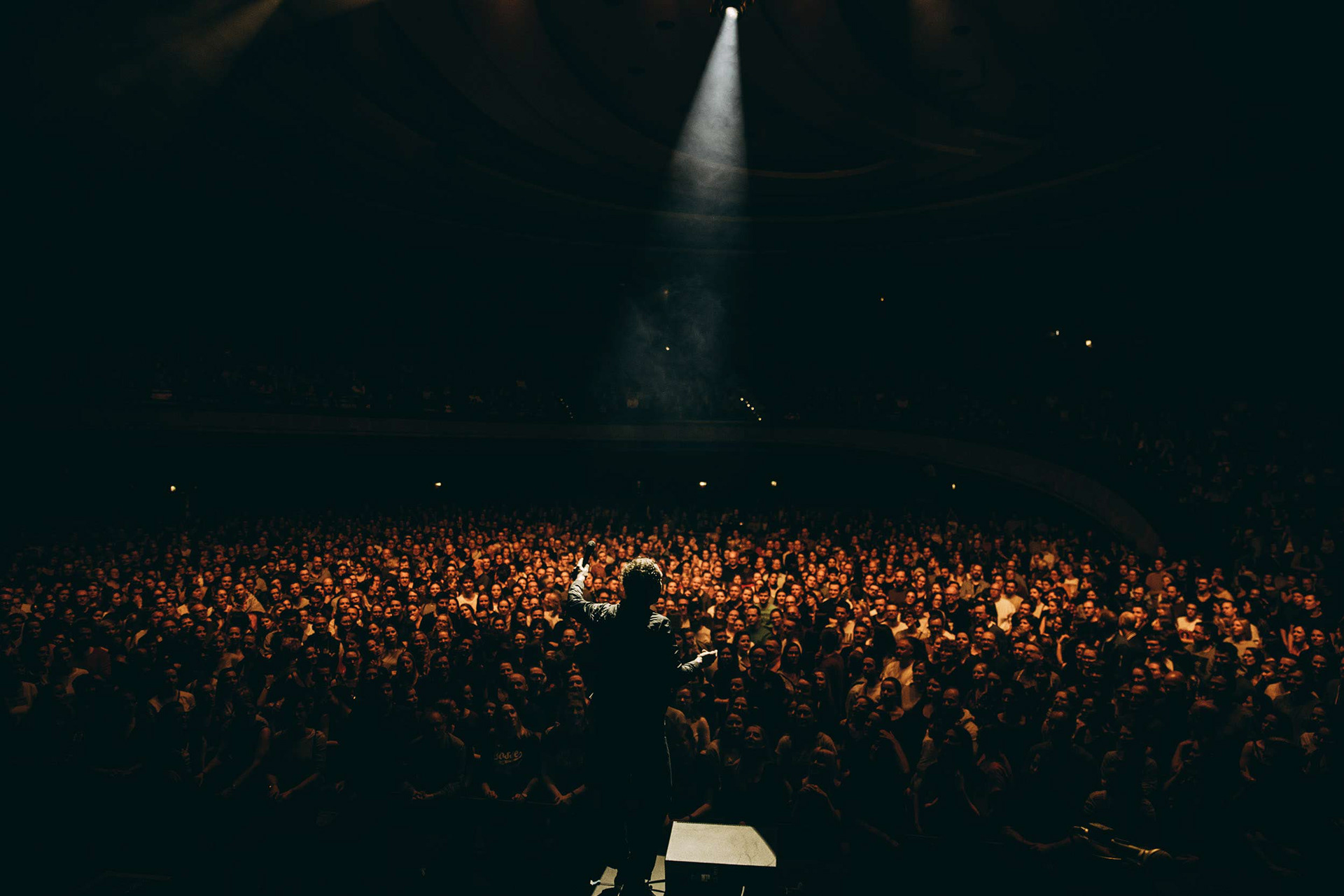 Bosse 2019