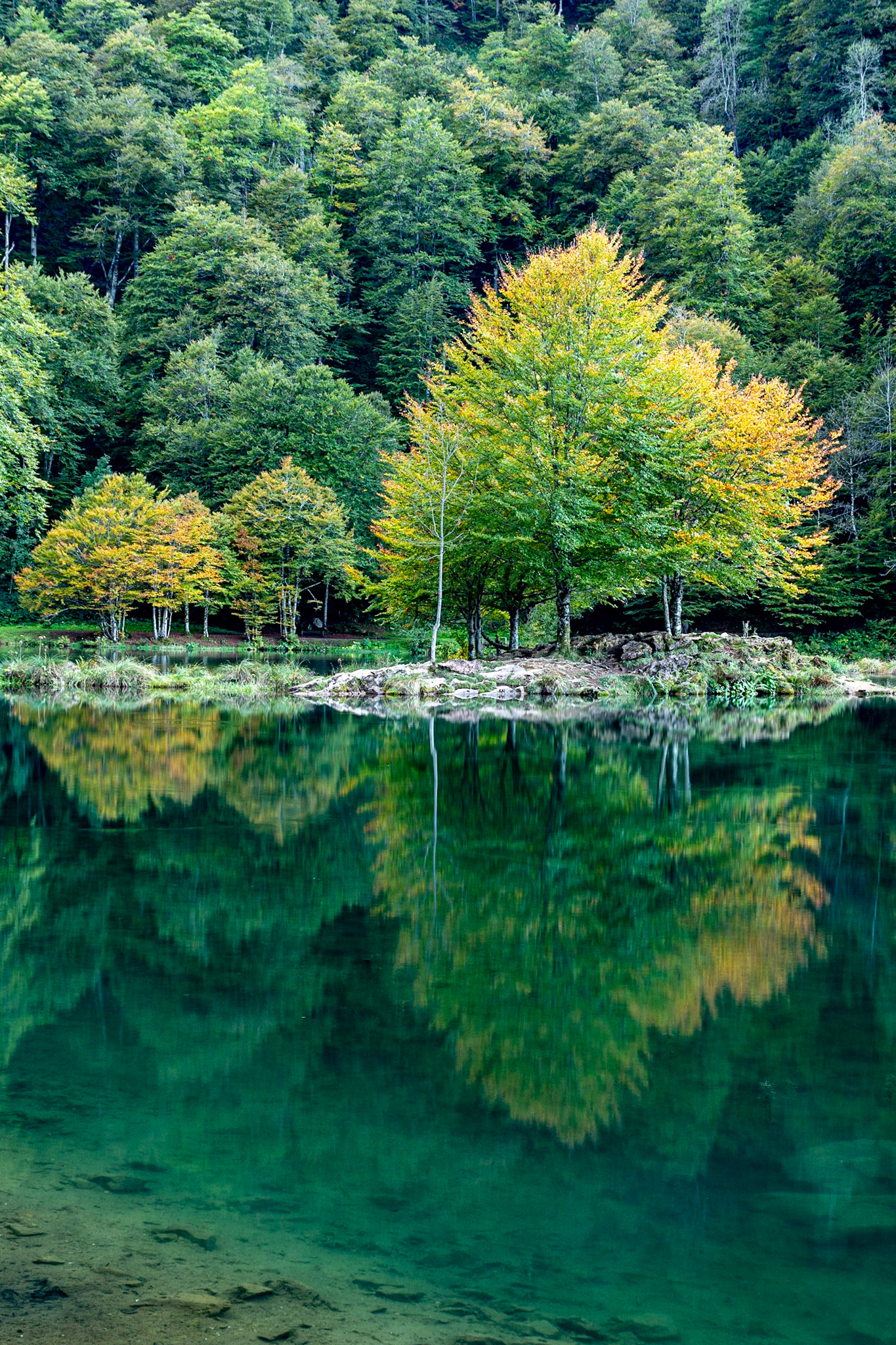 Etang de Bethmale