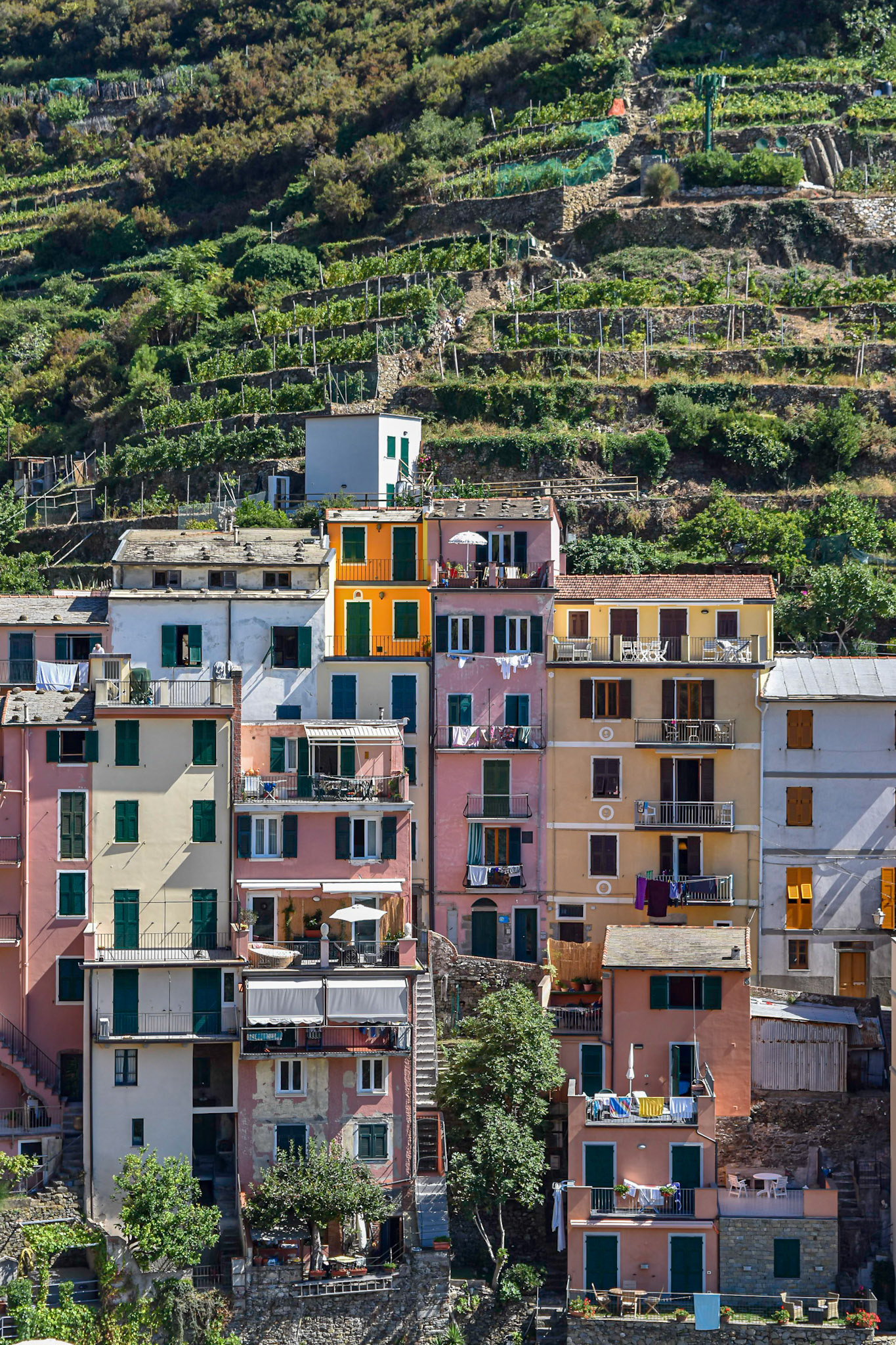 Manarola