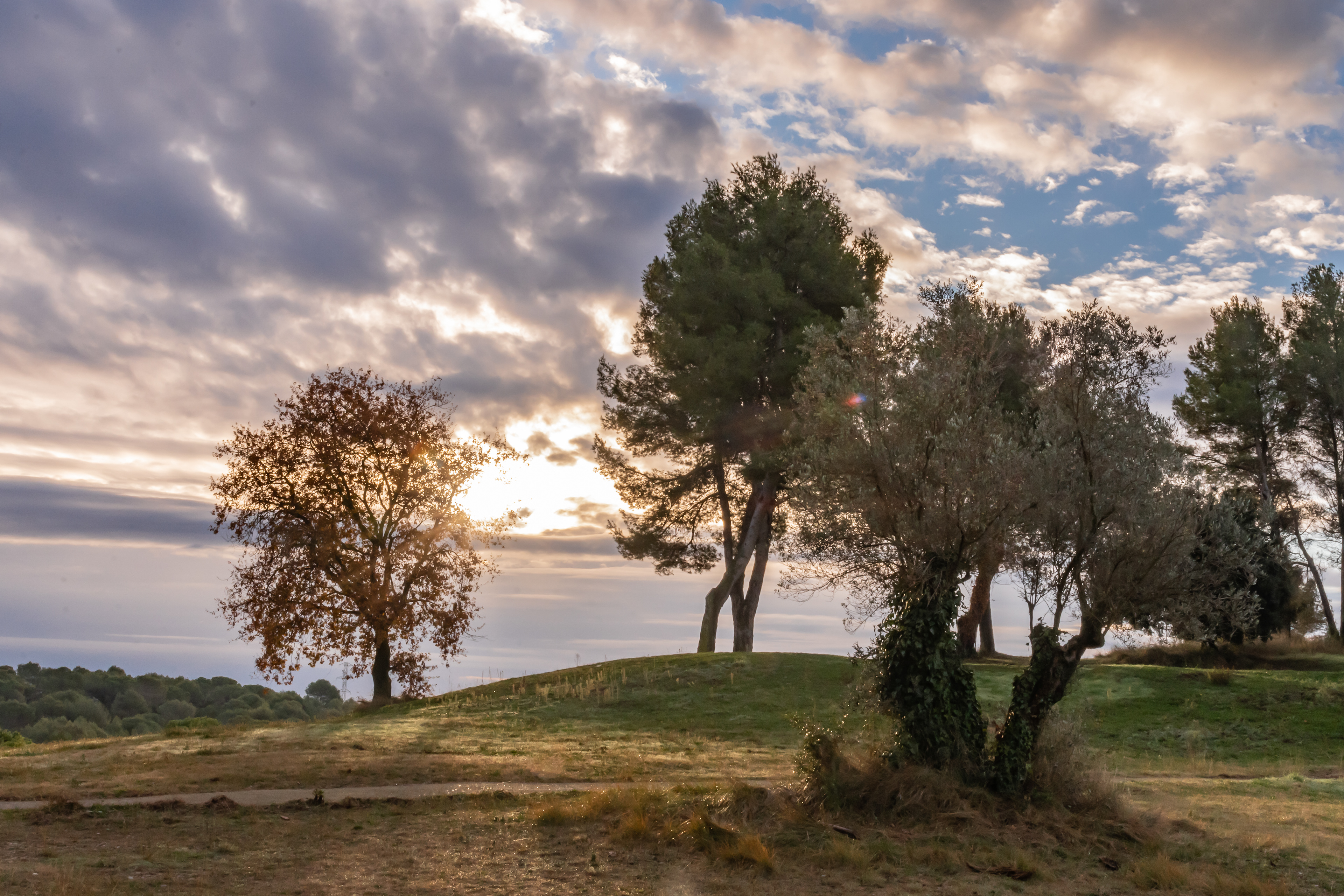 El Golf de Rubi, esperemos que parque urbano próximamente