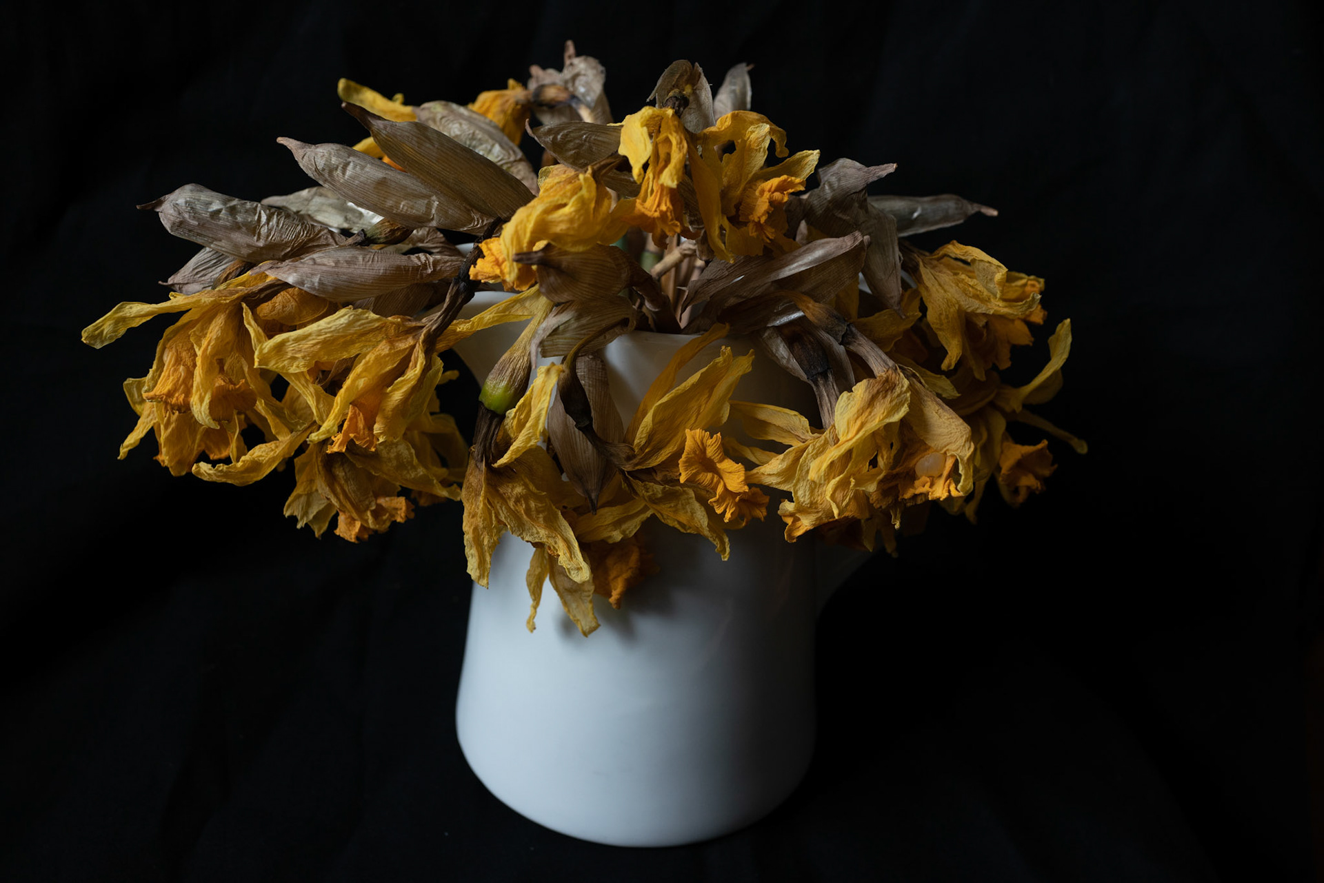 35mm 1/40s f/7.1 ISO 800