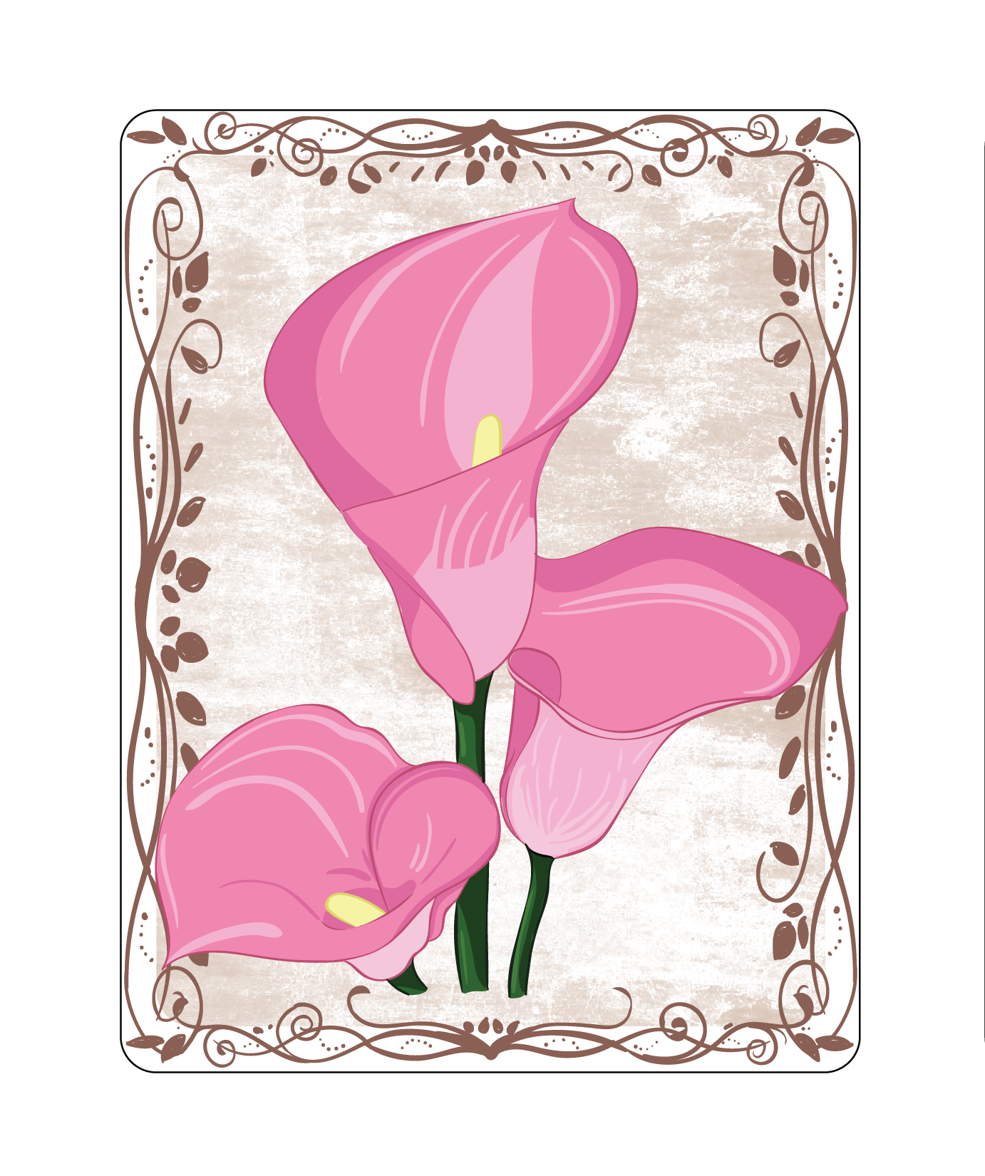 Calla Lily