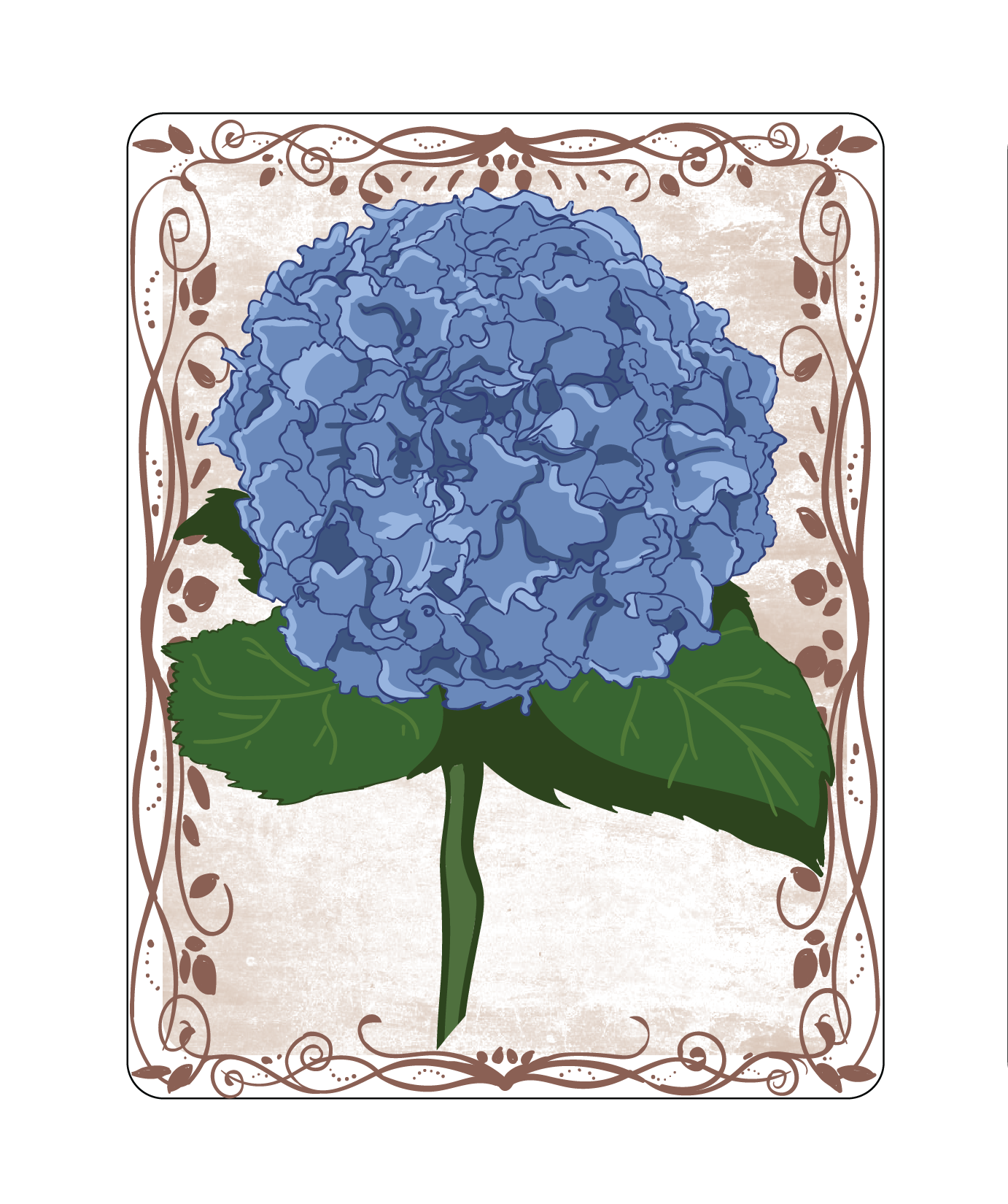 Hydrangea