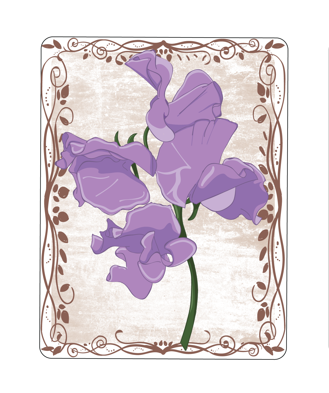 Sweet Pea