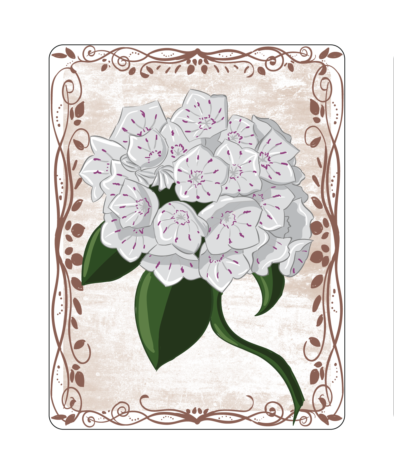 Mountain Laurel