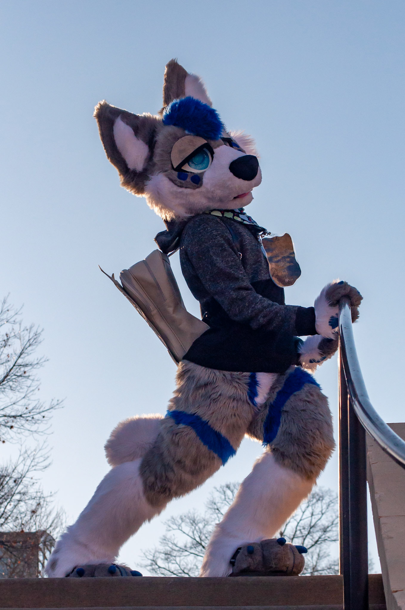 Suiter: @Kek_The_Wusky (TG)