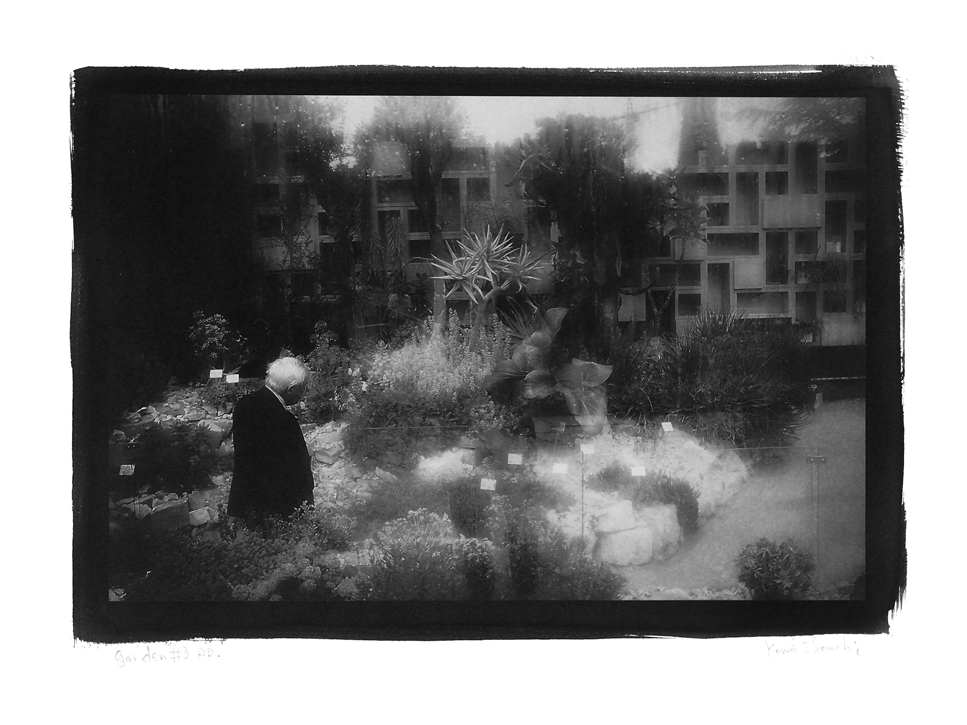 Series GARDEN