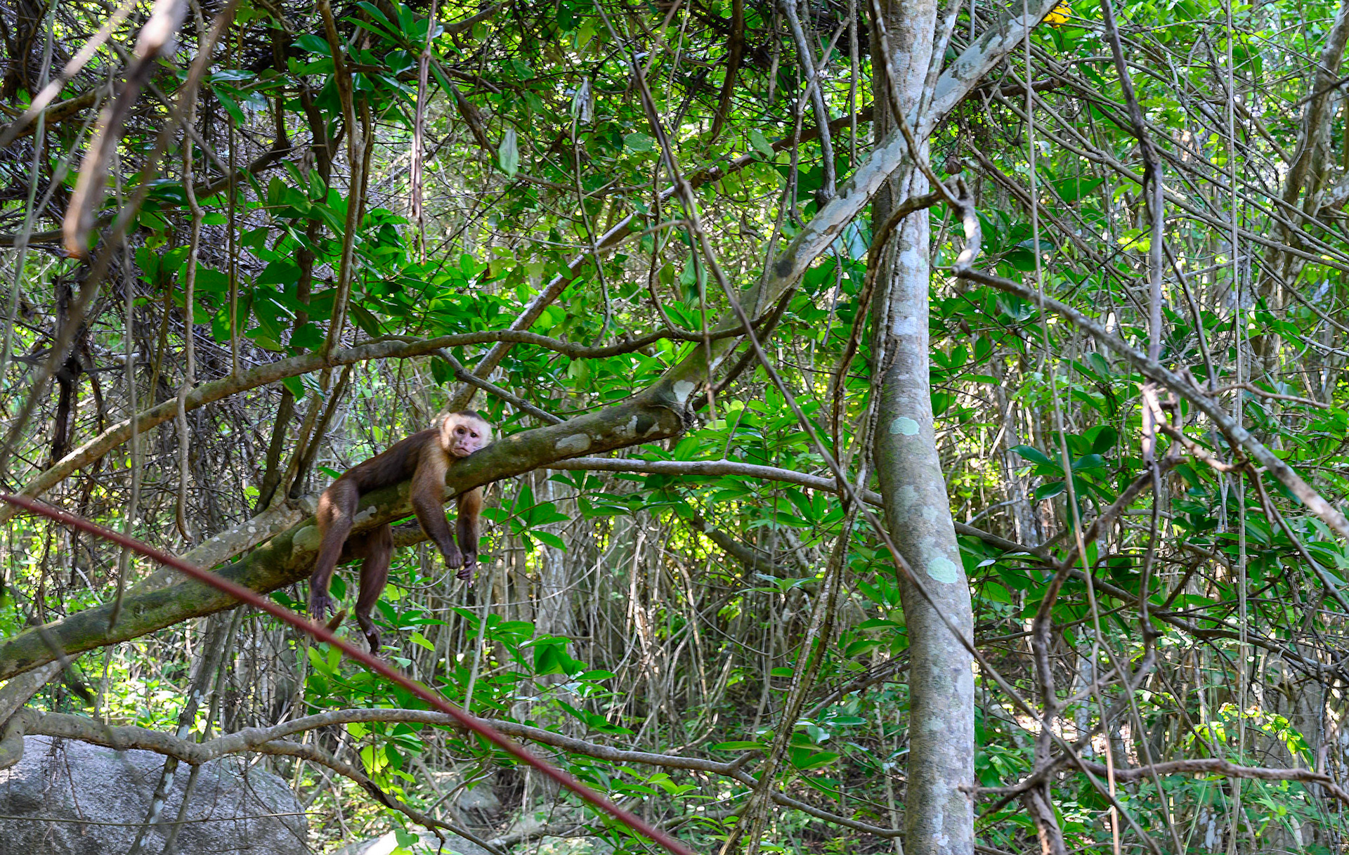 Parc National de Tayronna