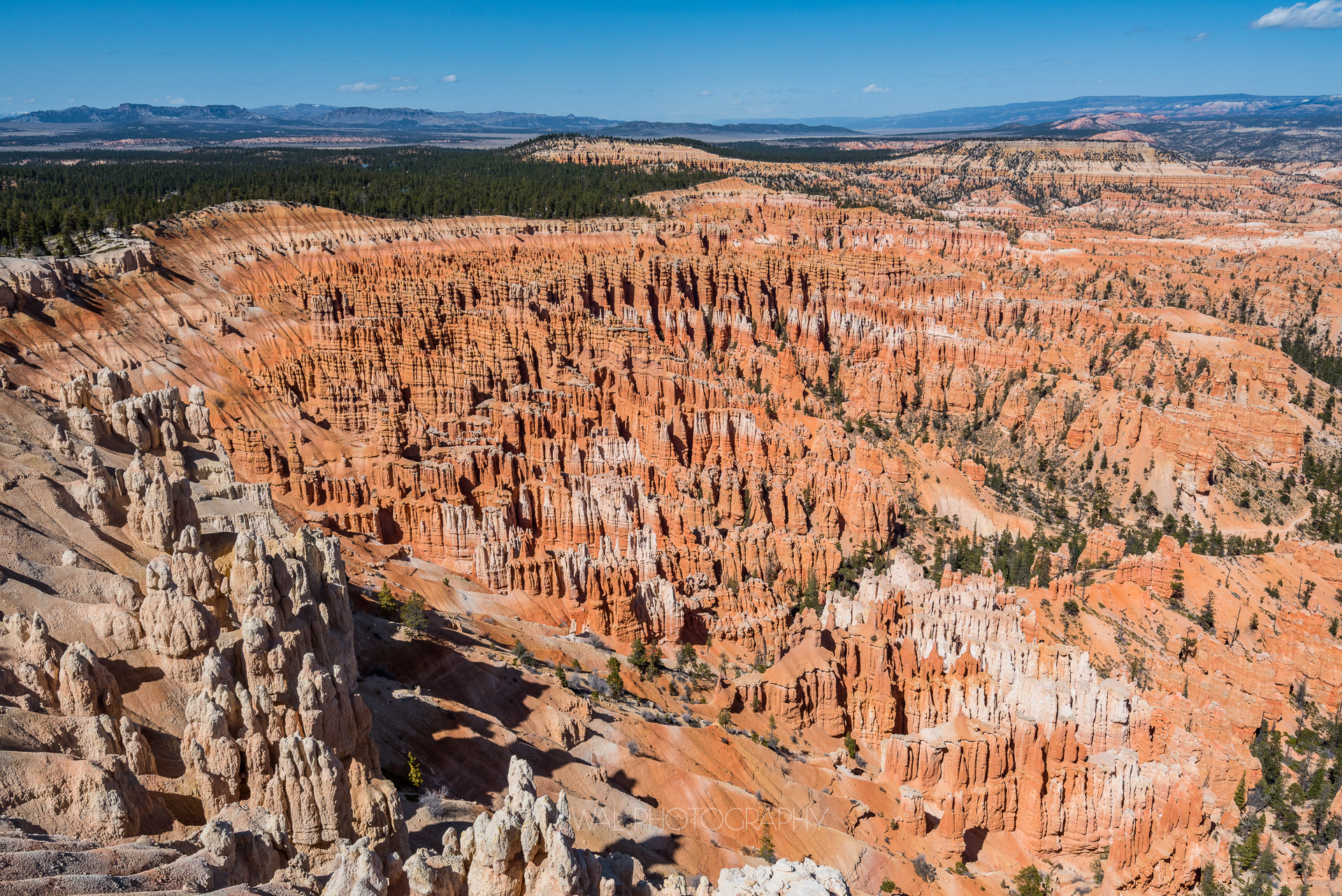 Crimson colored Hoodoos, Bryce Canyon National Park, Utah, USA