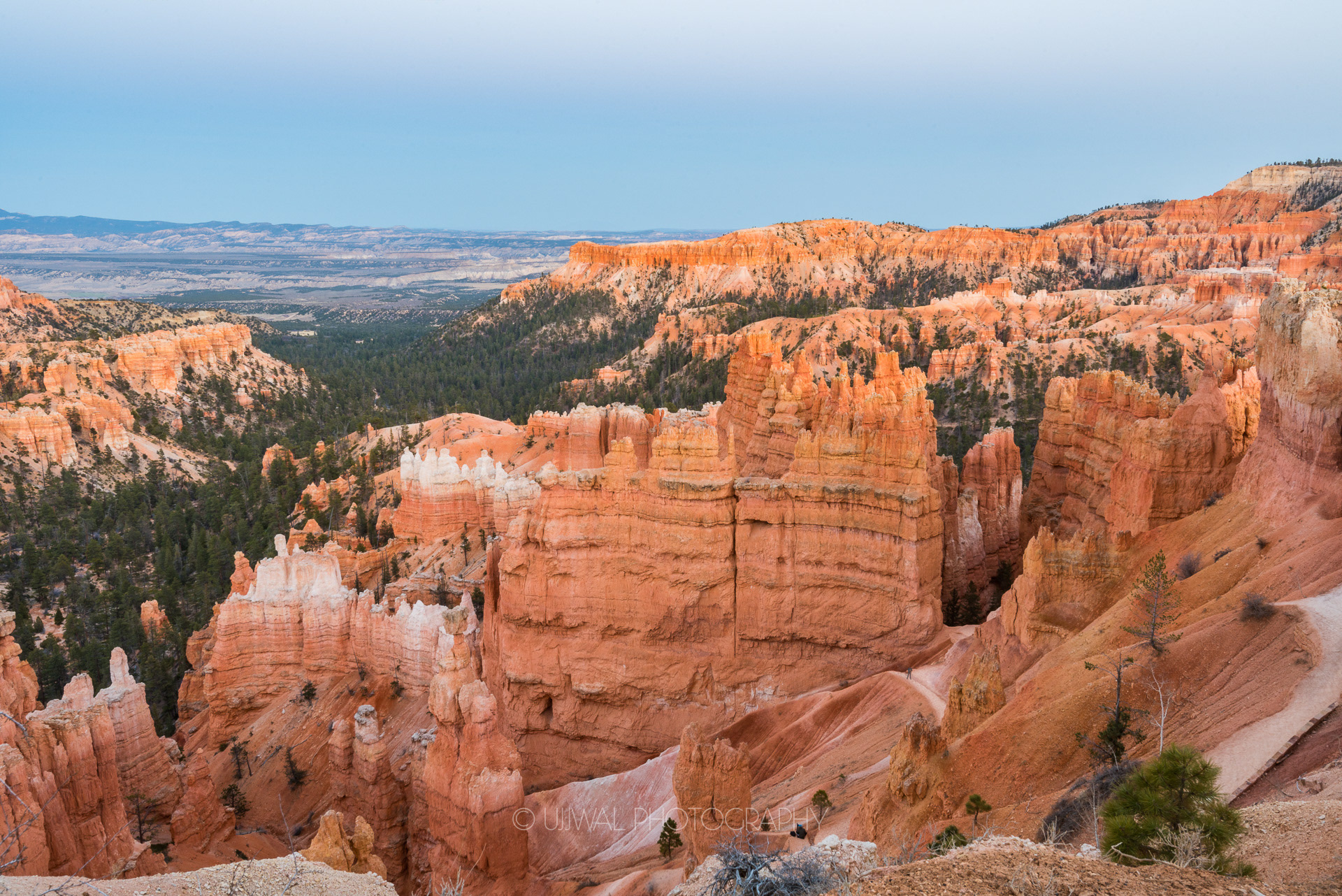 Crimson colored Hoodoos, Bryce Canyon National Park, Utah, USA