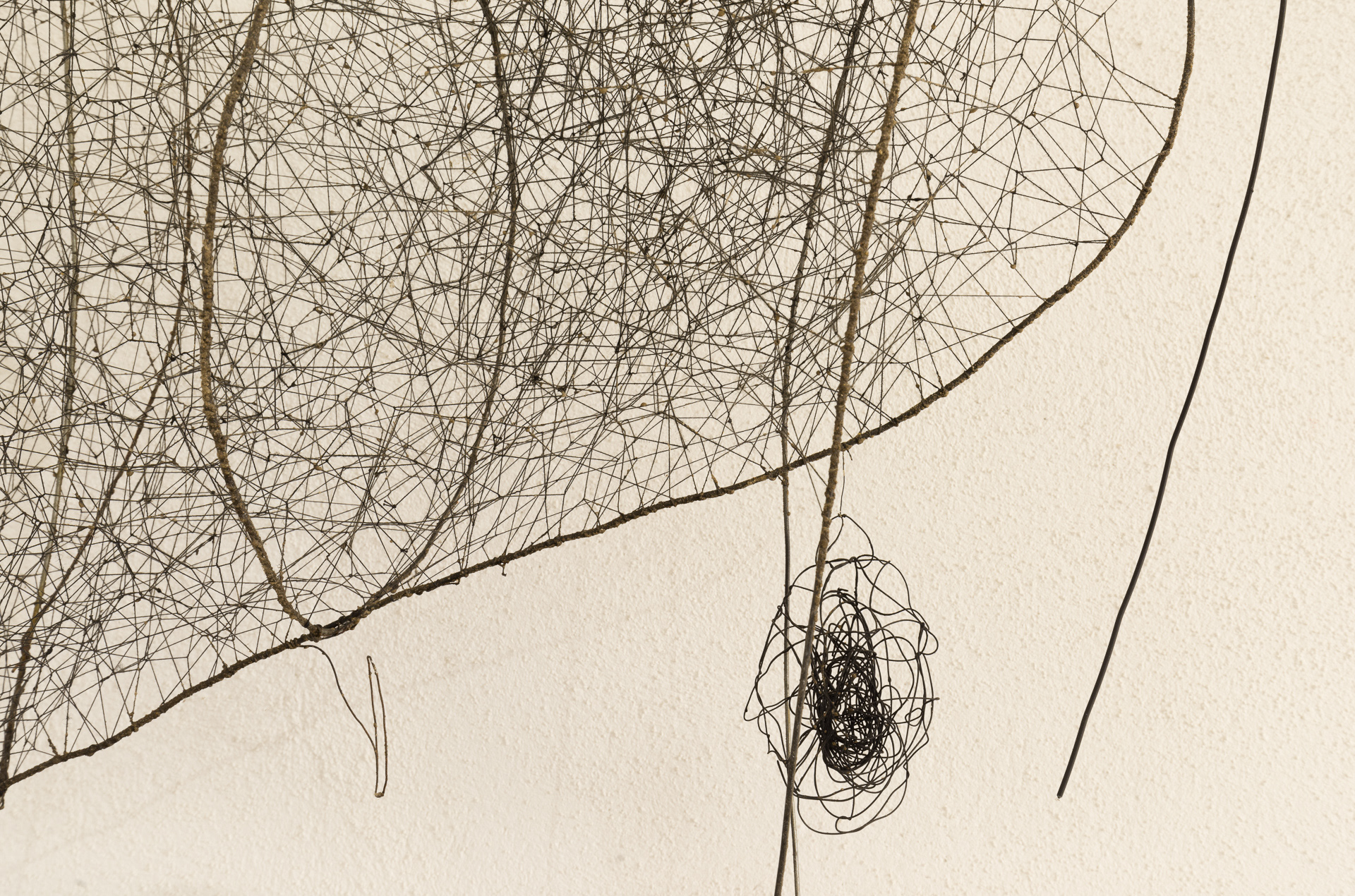 »Stier VII« von Sophie Natuschke
