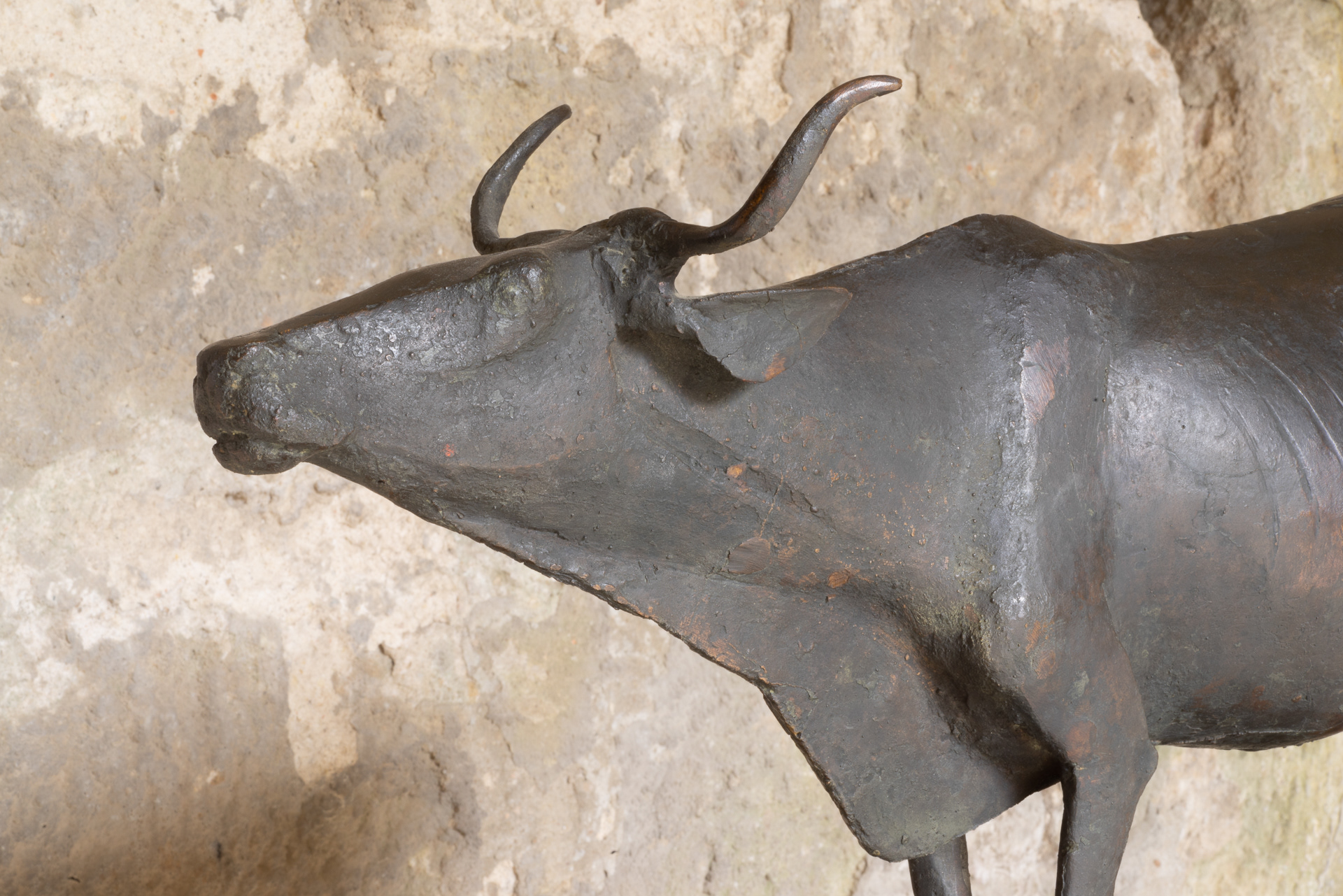 »Rind Banteng« von Klaus Kütemeier