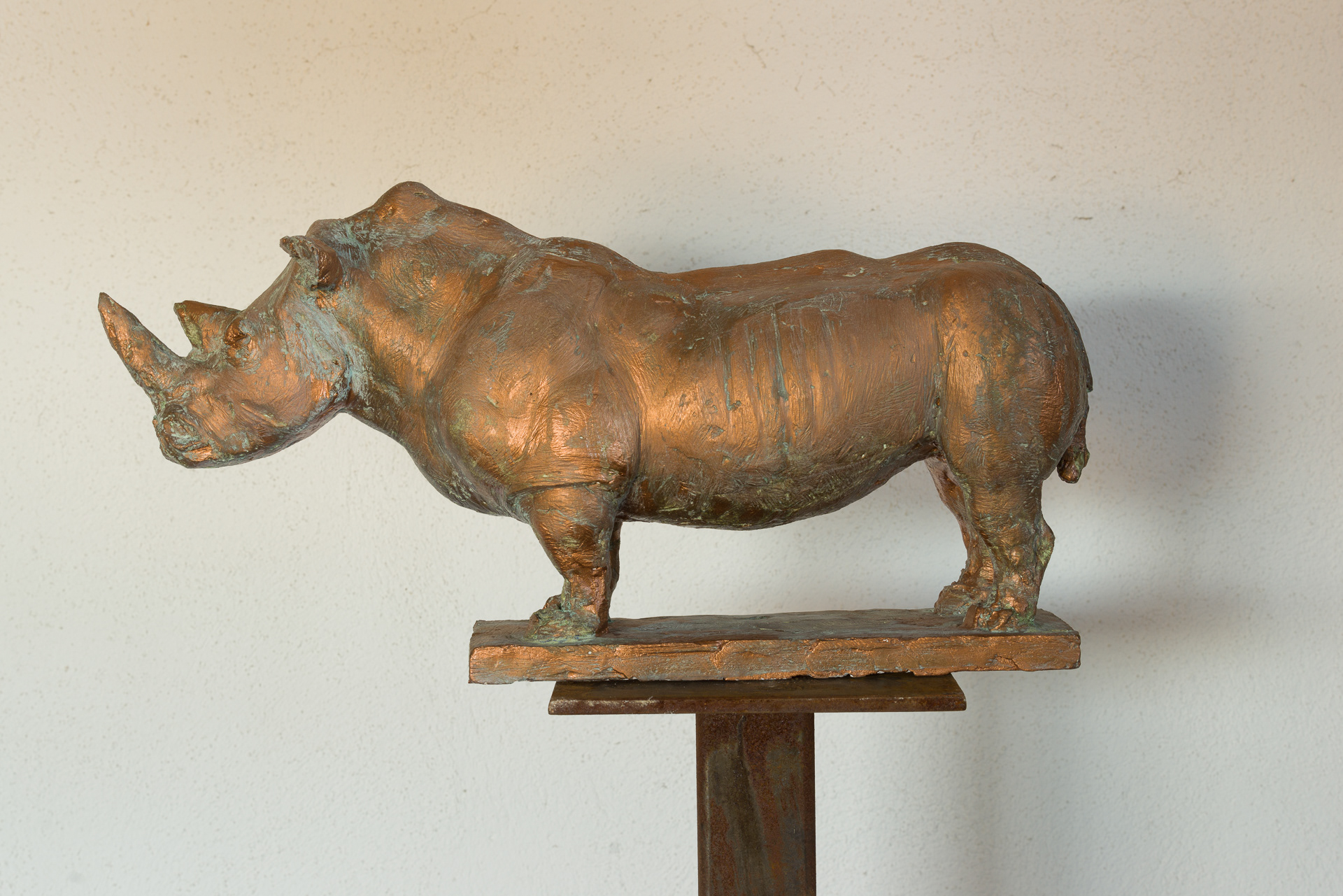 »Nashorn« von Gunther Bachmann