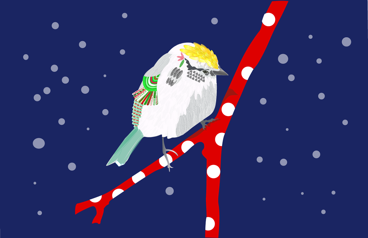 Bird in holiday plummage