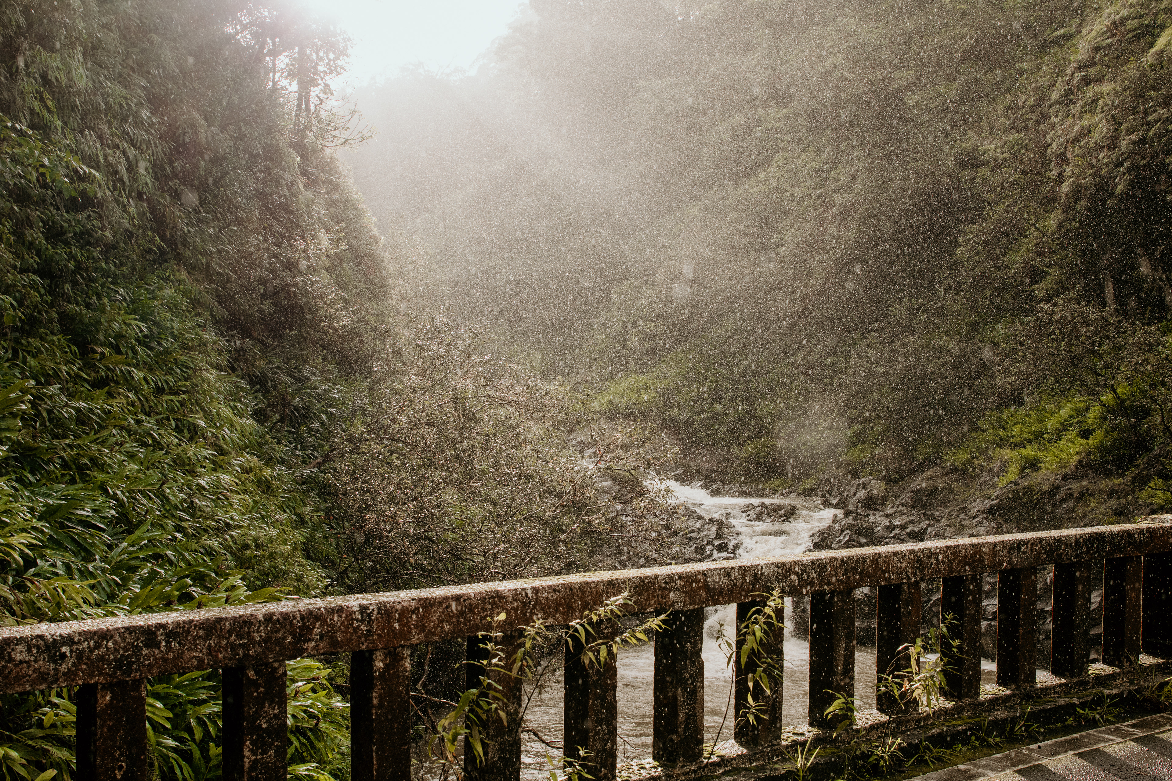 sunshine rain